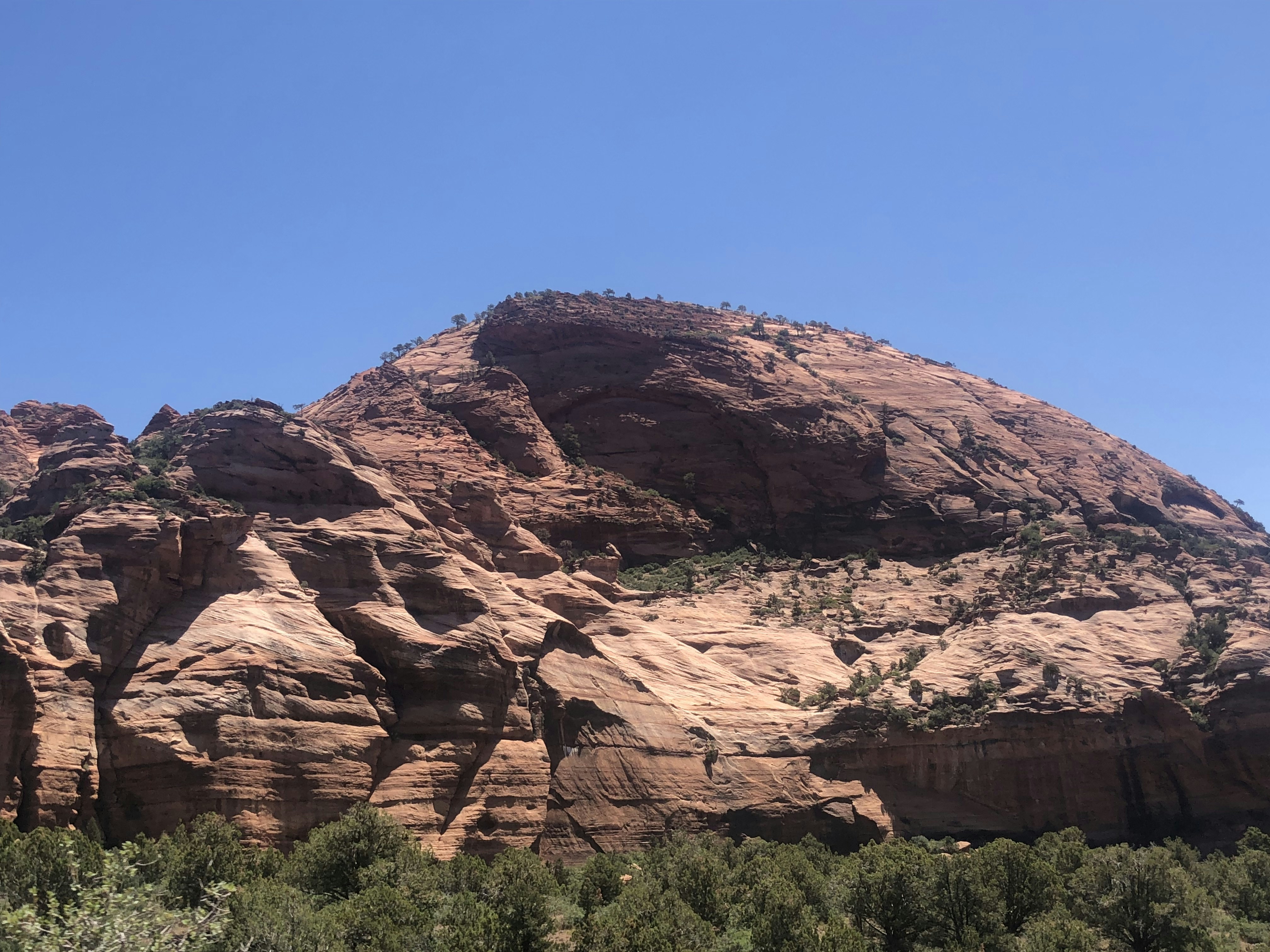 Photo by blueflame567