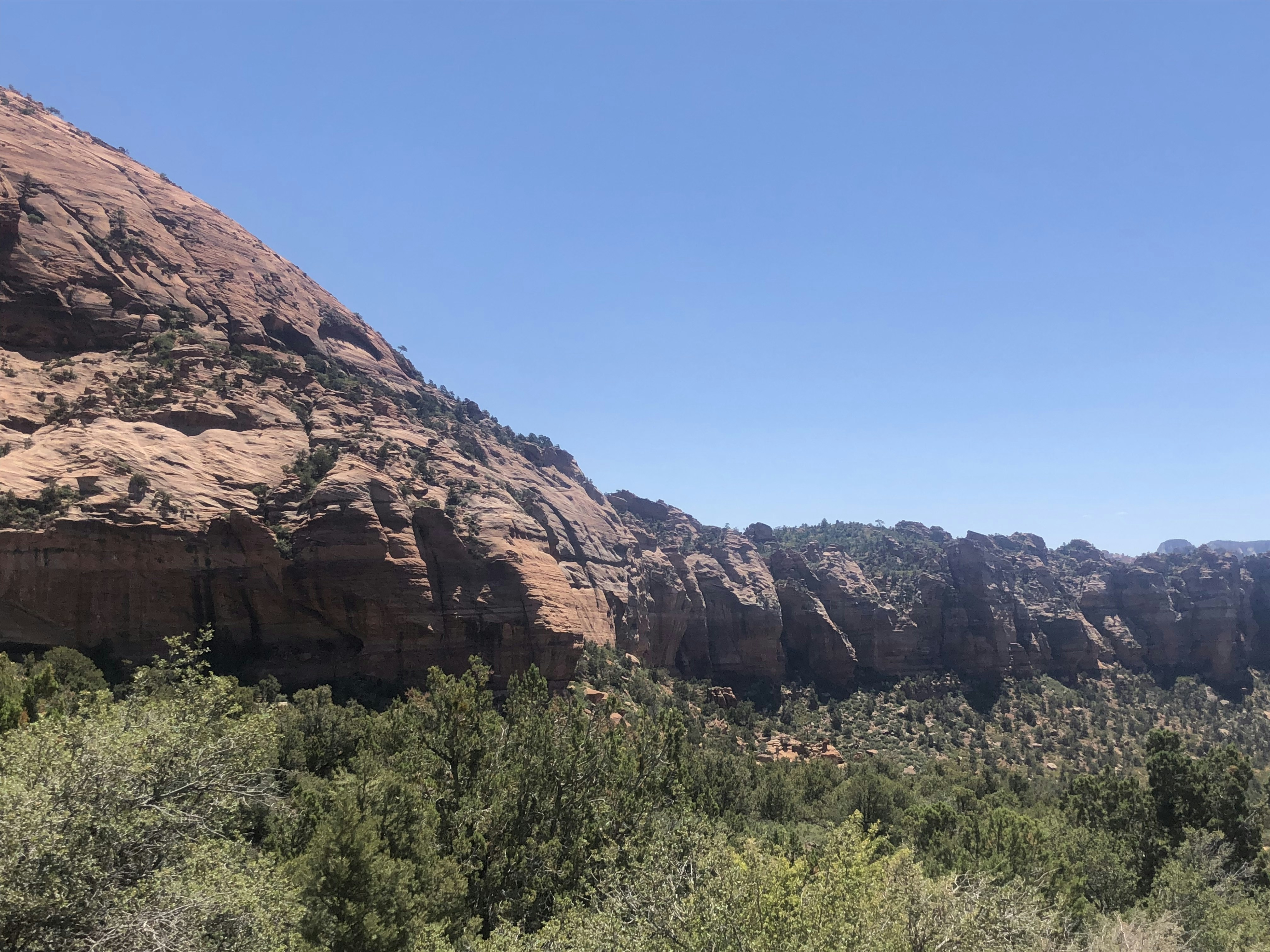 Photo by blueflame567