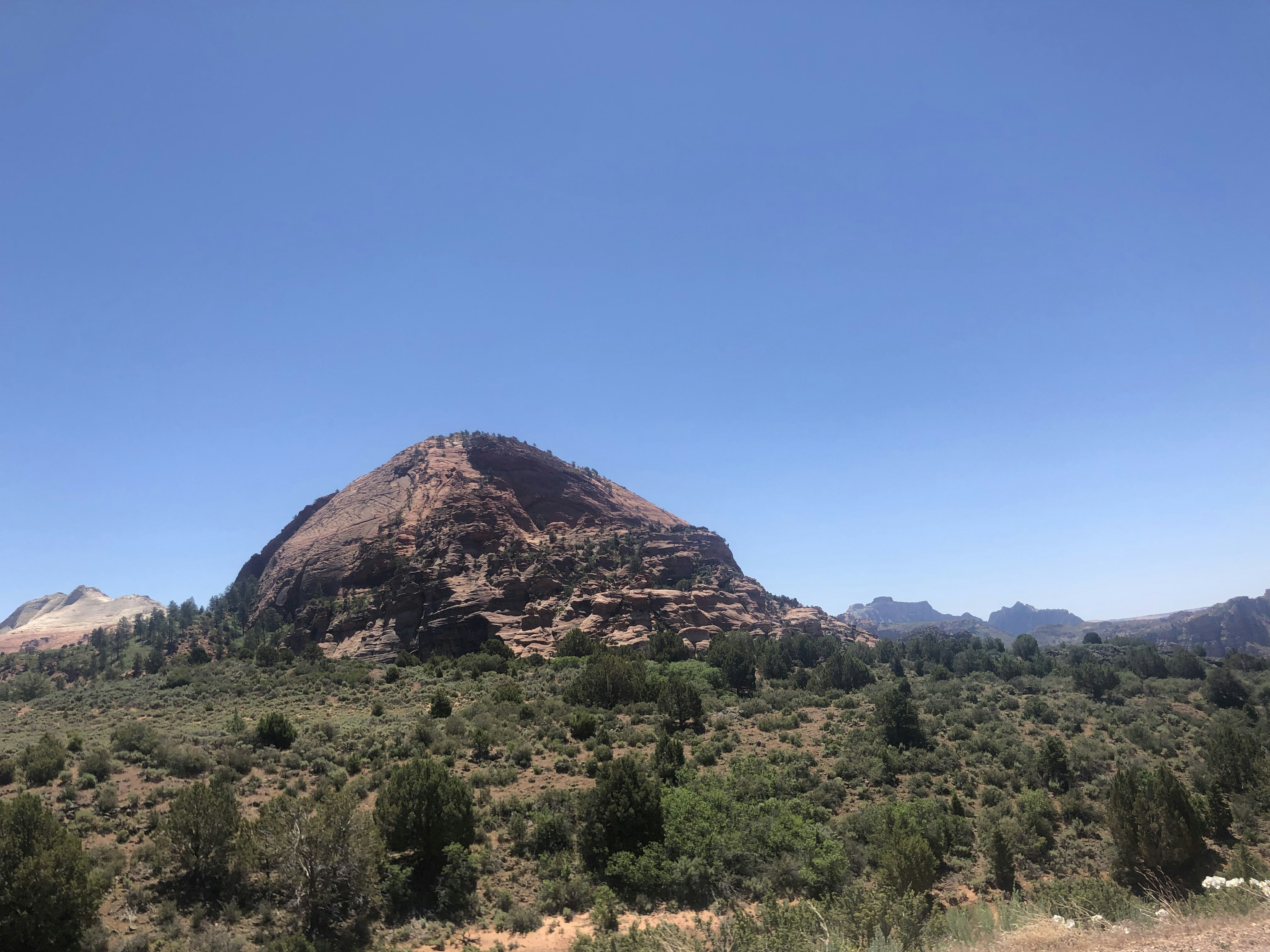 Photo by blueflame567