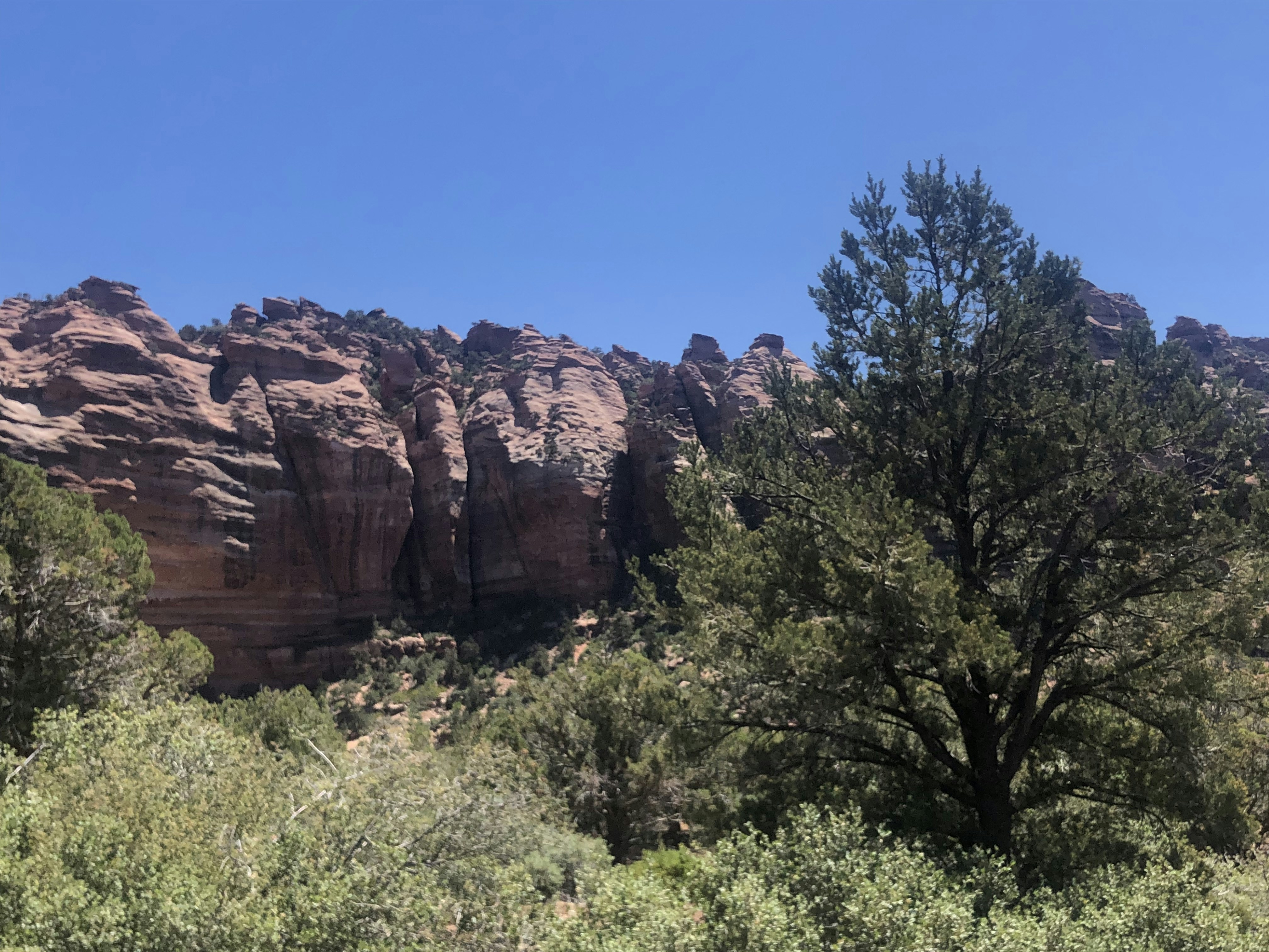 Photo by blueflame567