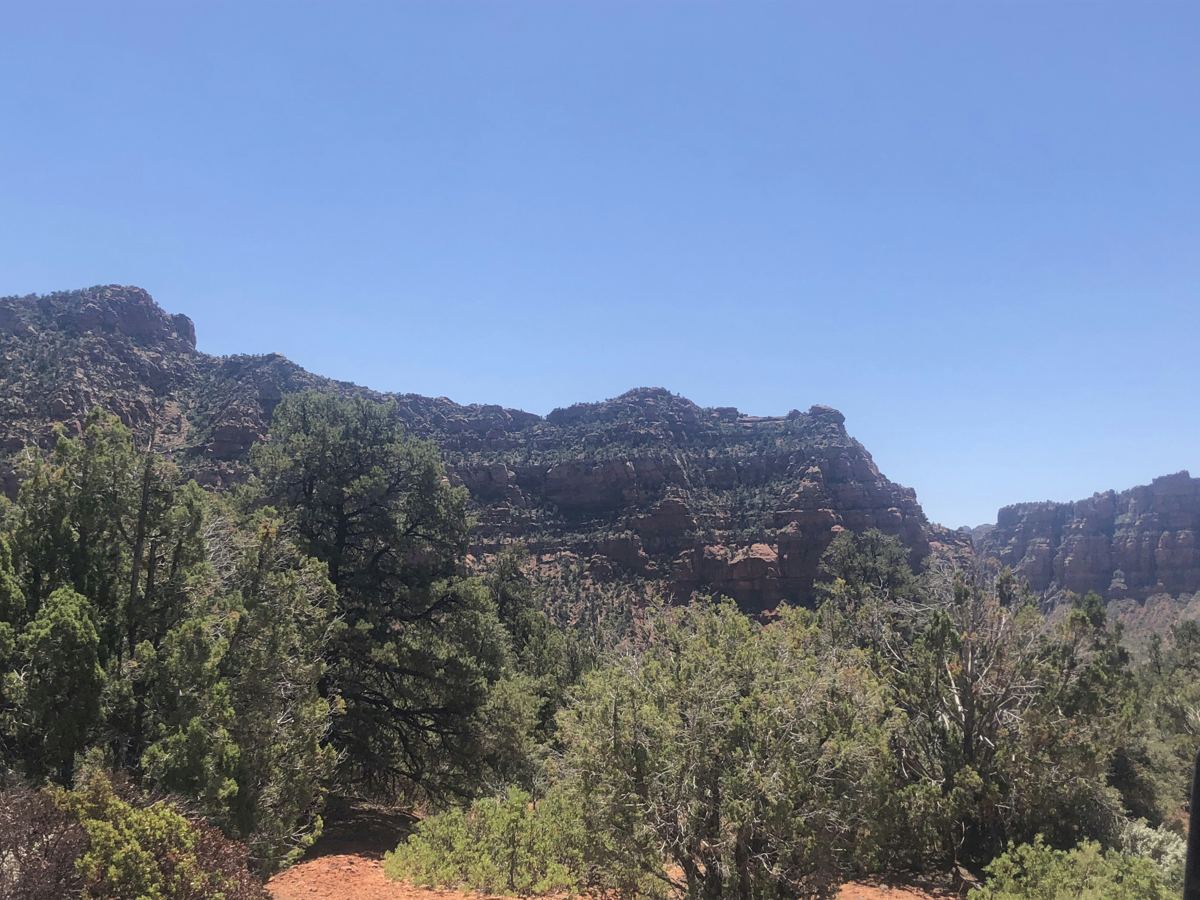 Photo by blueflame567