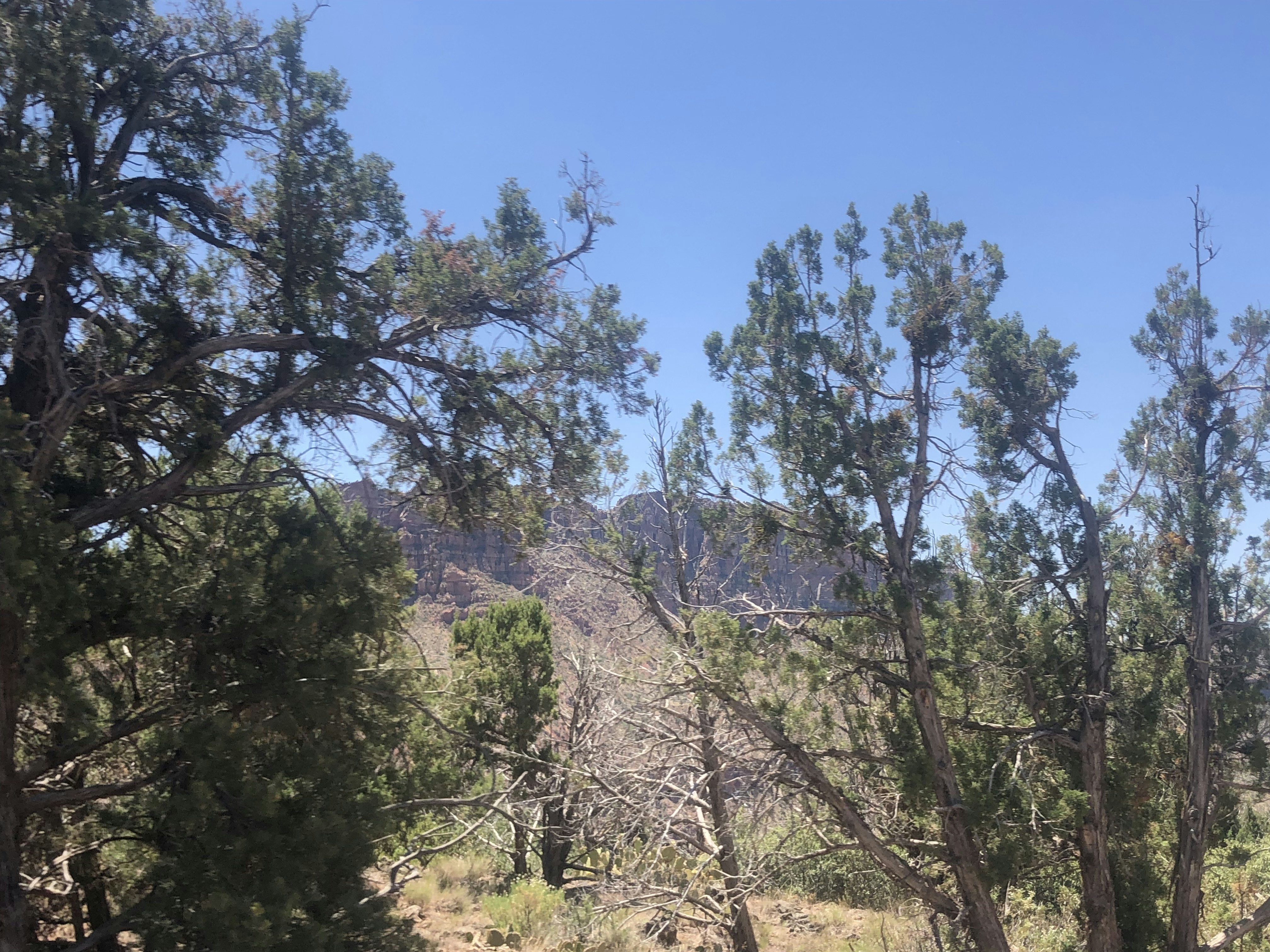 Photo by blueflame567