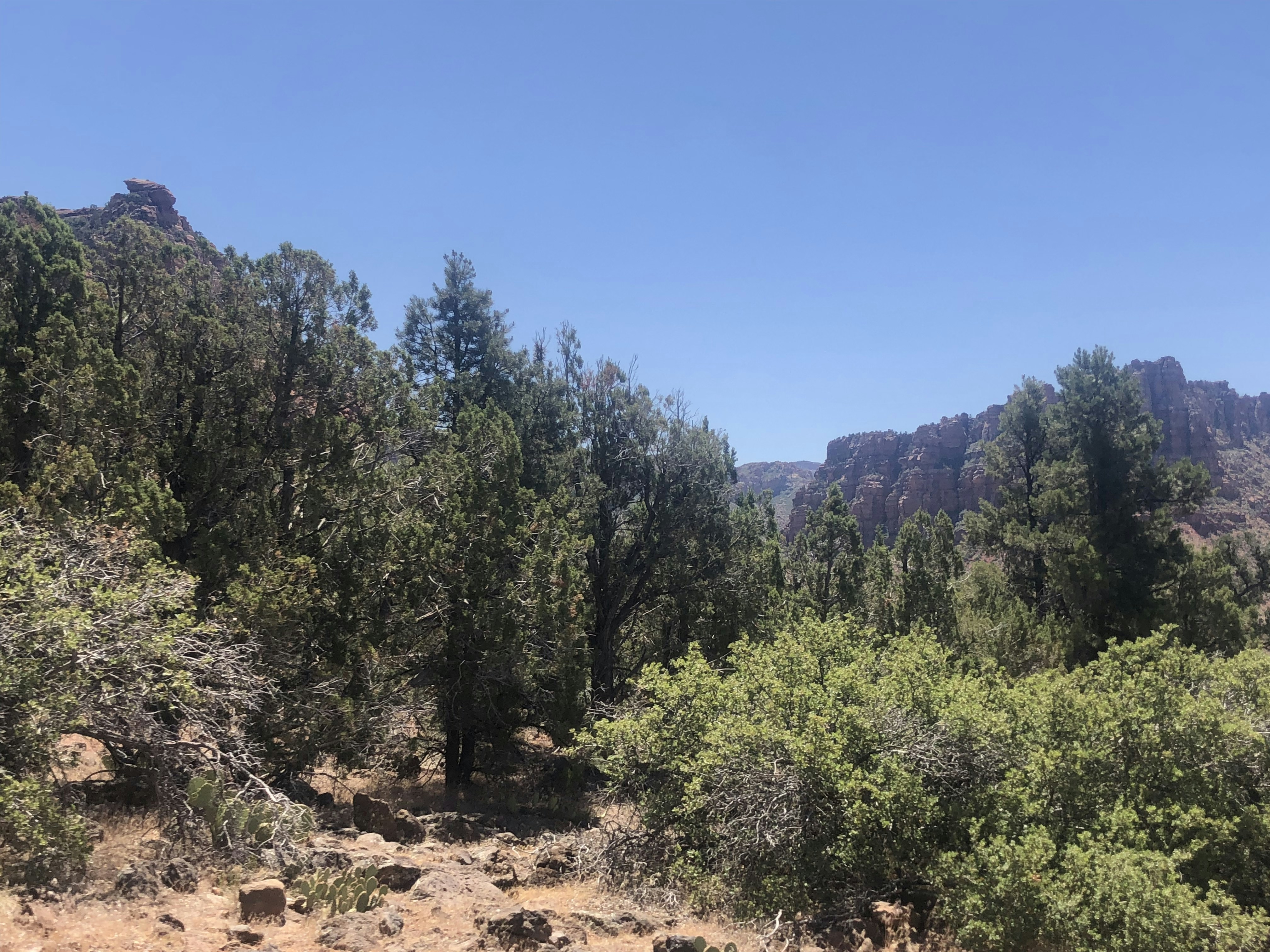 Photo by blueflame567