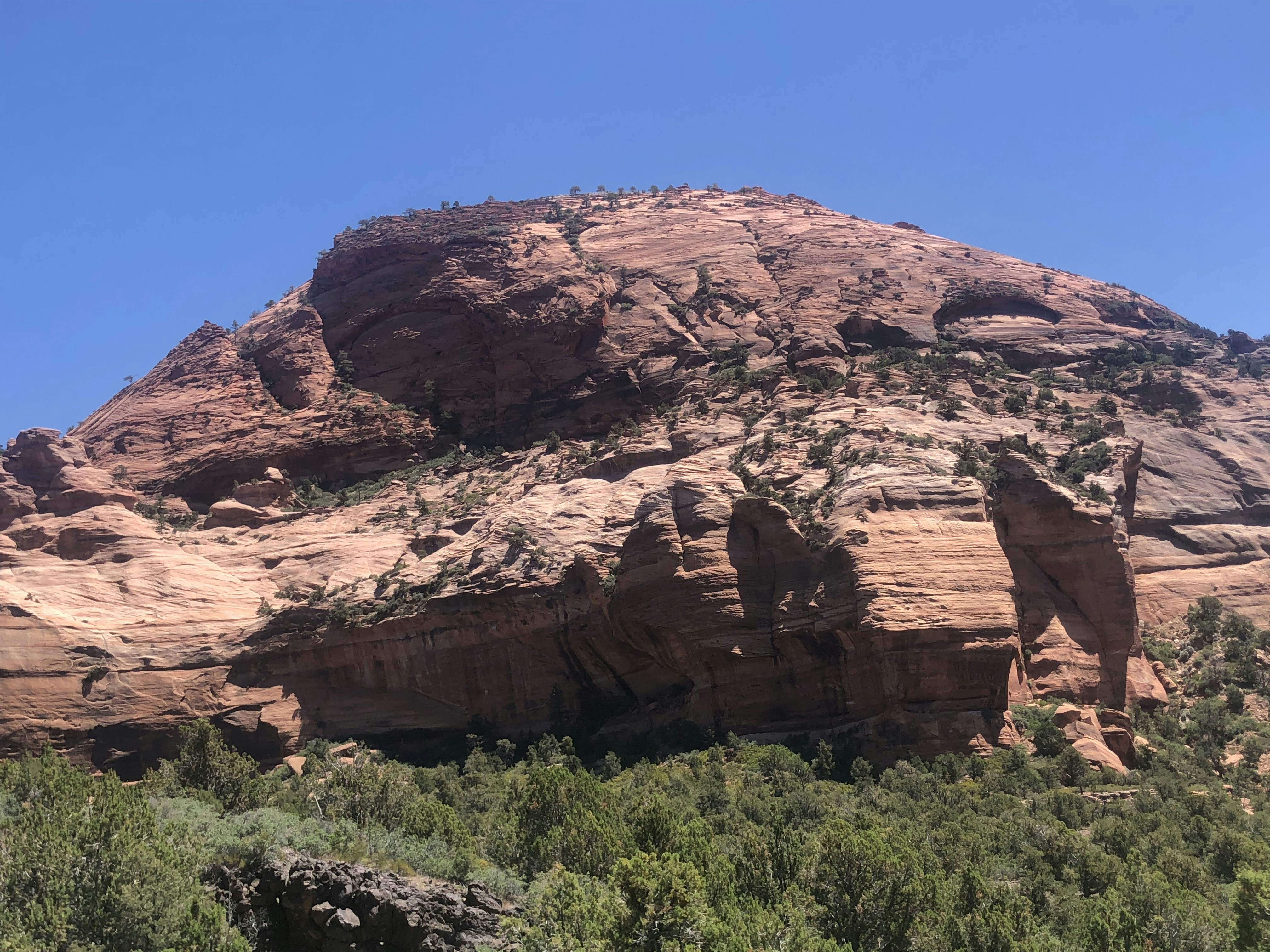 Photo by blueflame567