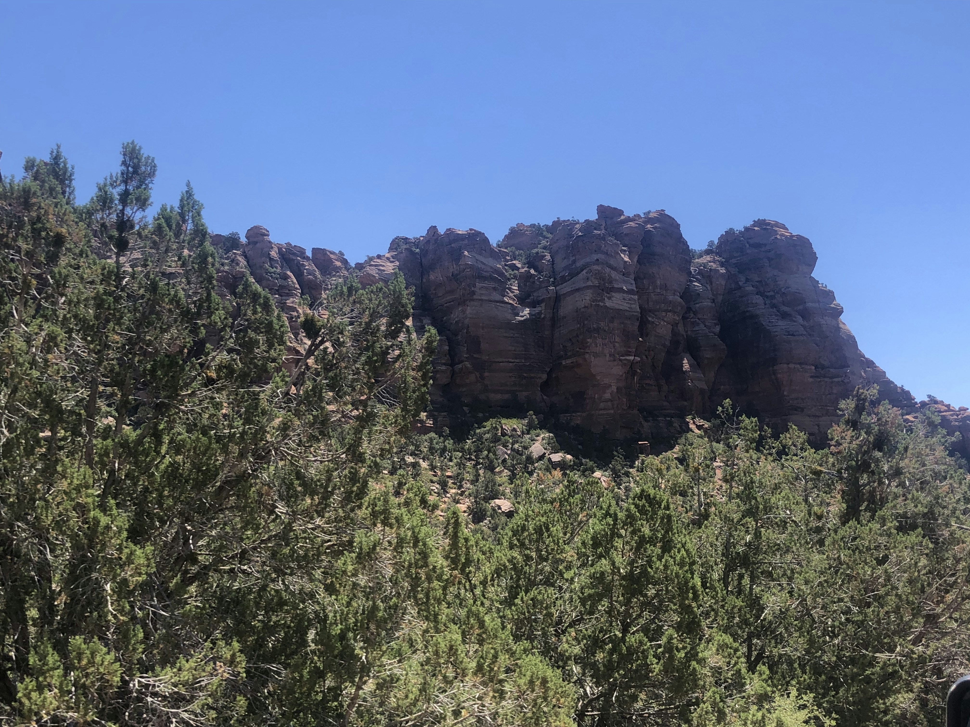 Photo by blueflame567