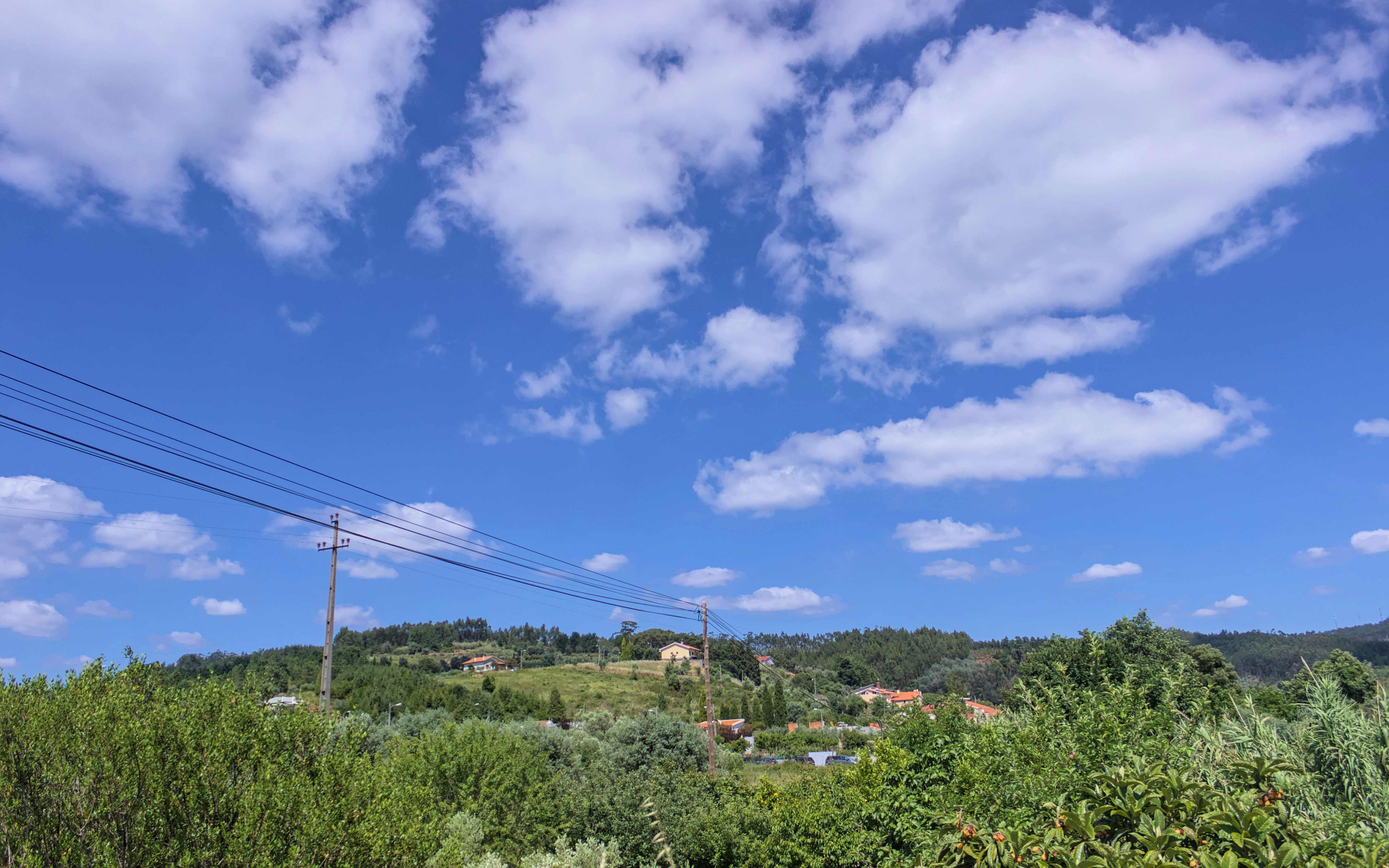 Photo by brunomiguel