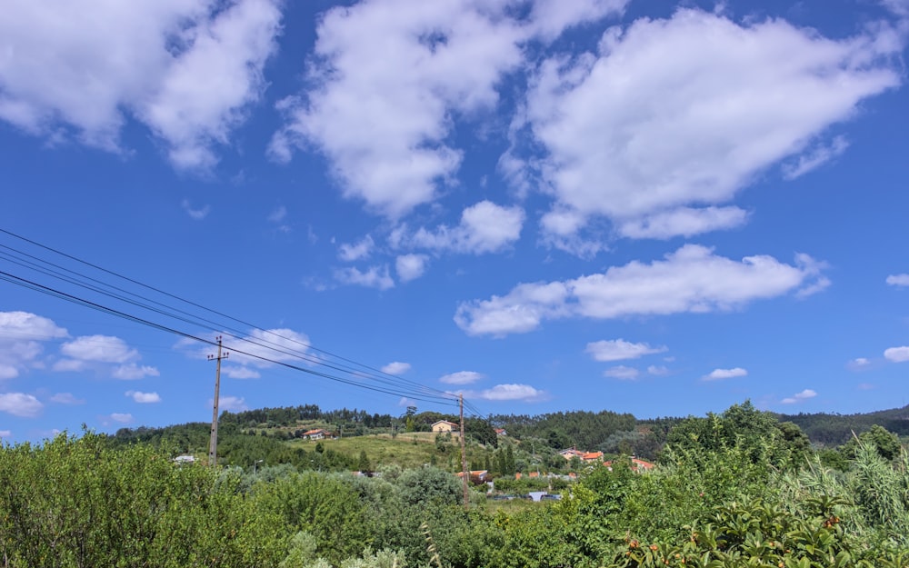 a landscape with trees and power lines