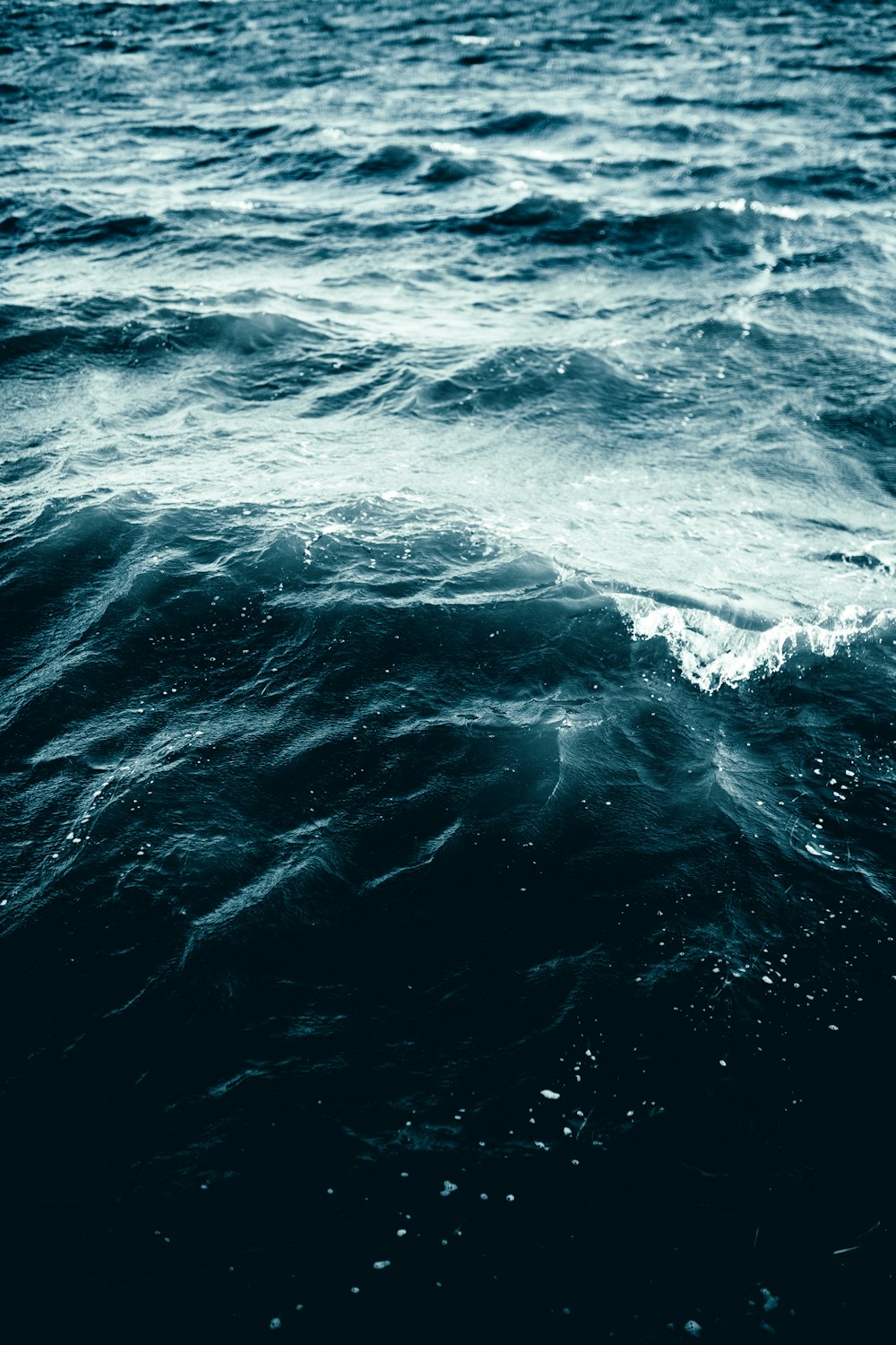 olas en un cuerpo de agua