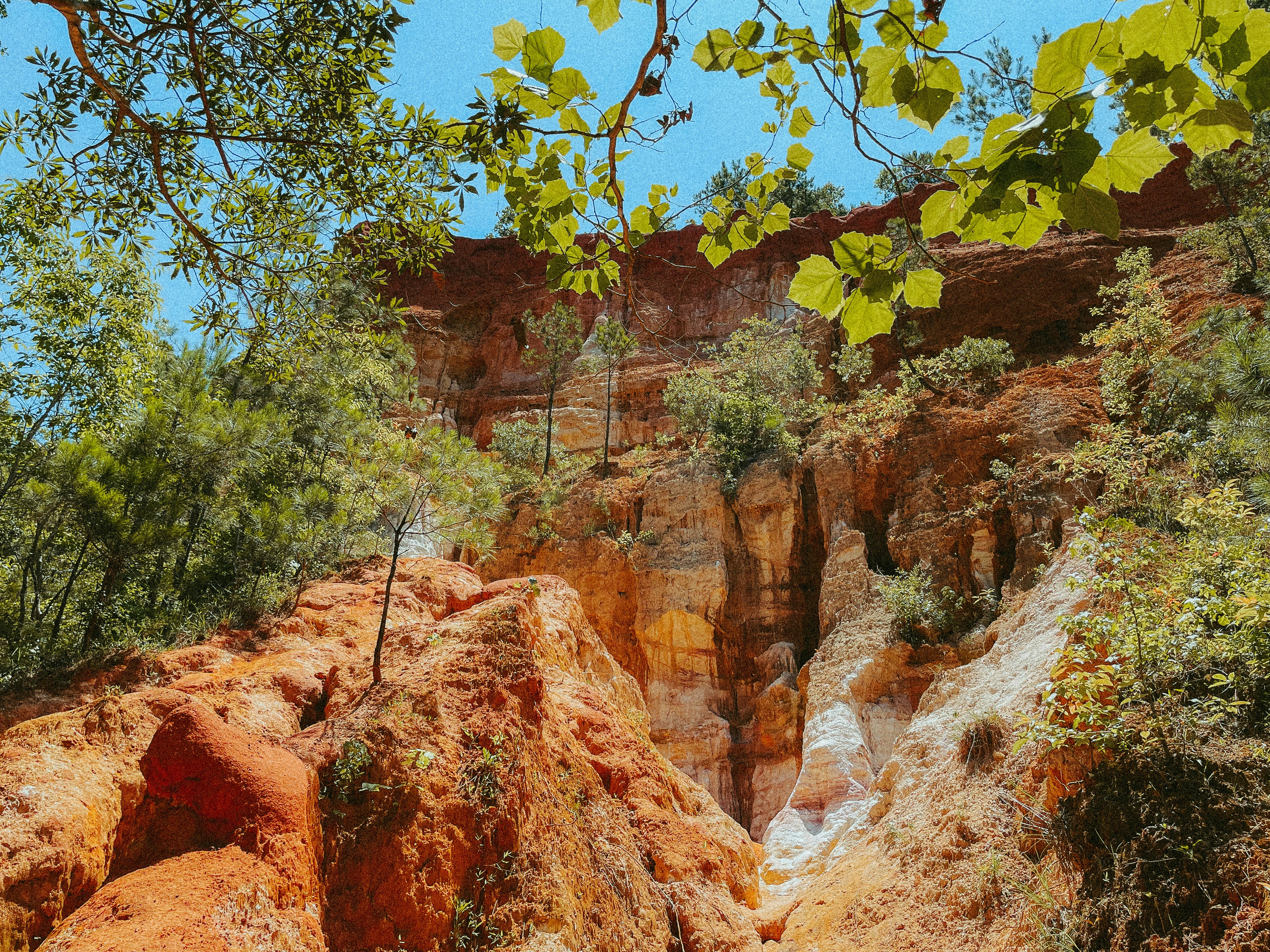 Photo by imarkvision8