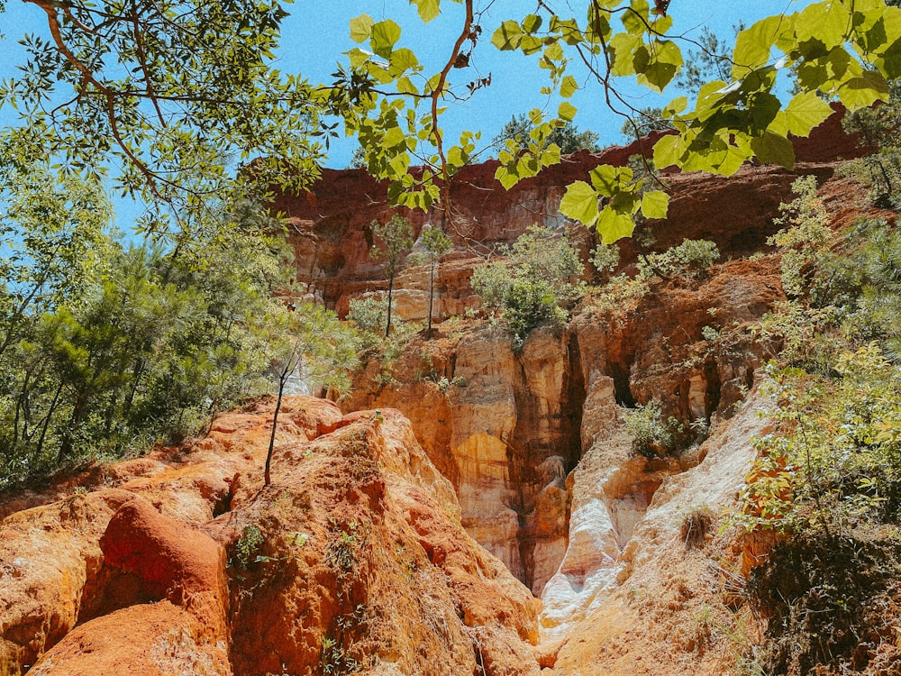 a rocky cliff with trees on it