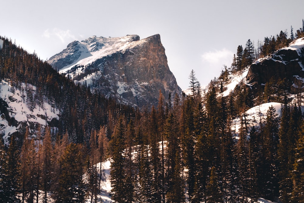 a snowy mountain range