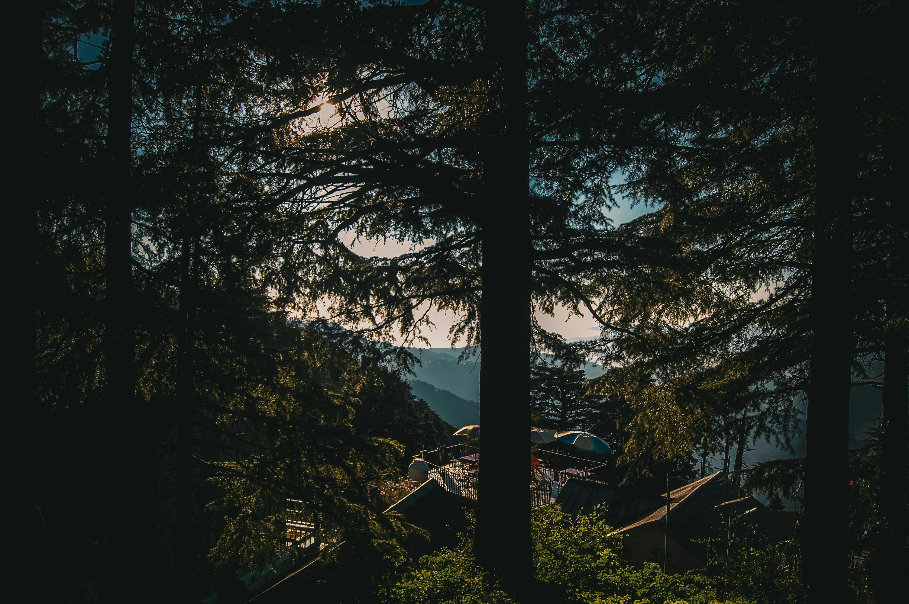 Photo by sonurajeugale