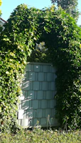A metal trellis archway framing a garden path, dappled with sunlight and climbing ivy.