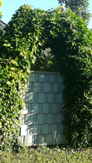 A metal trellis archway framing a garden path, dappled with sunlight and climbing ivy.