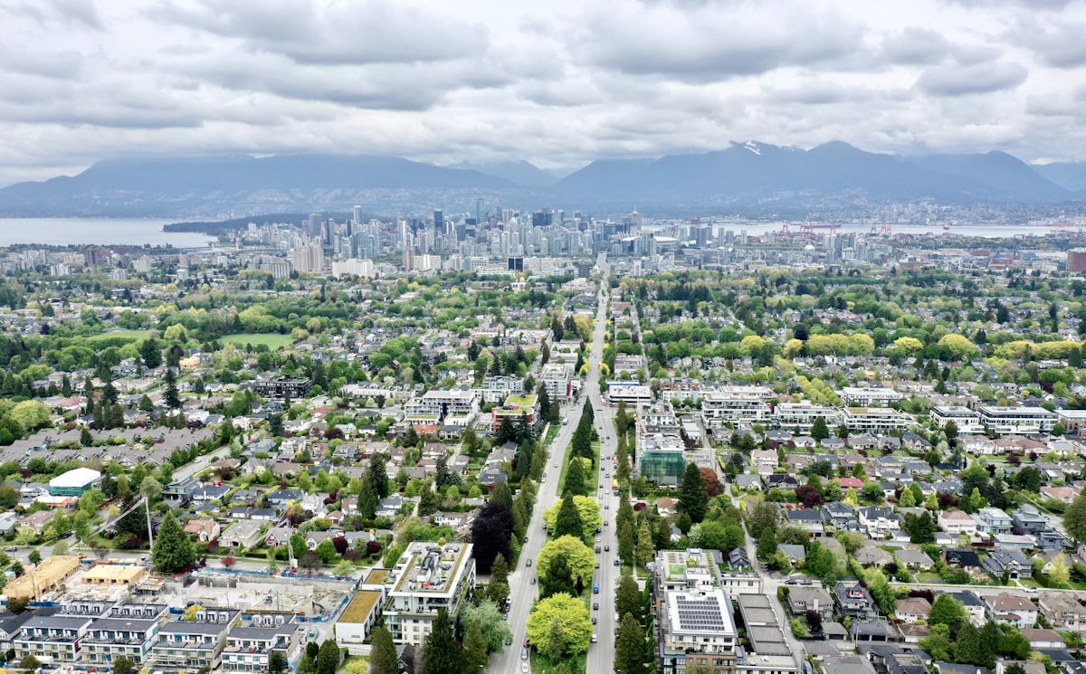 Urban forest view down a street with mountains