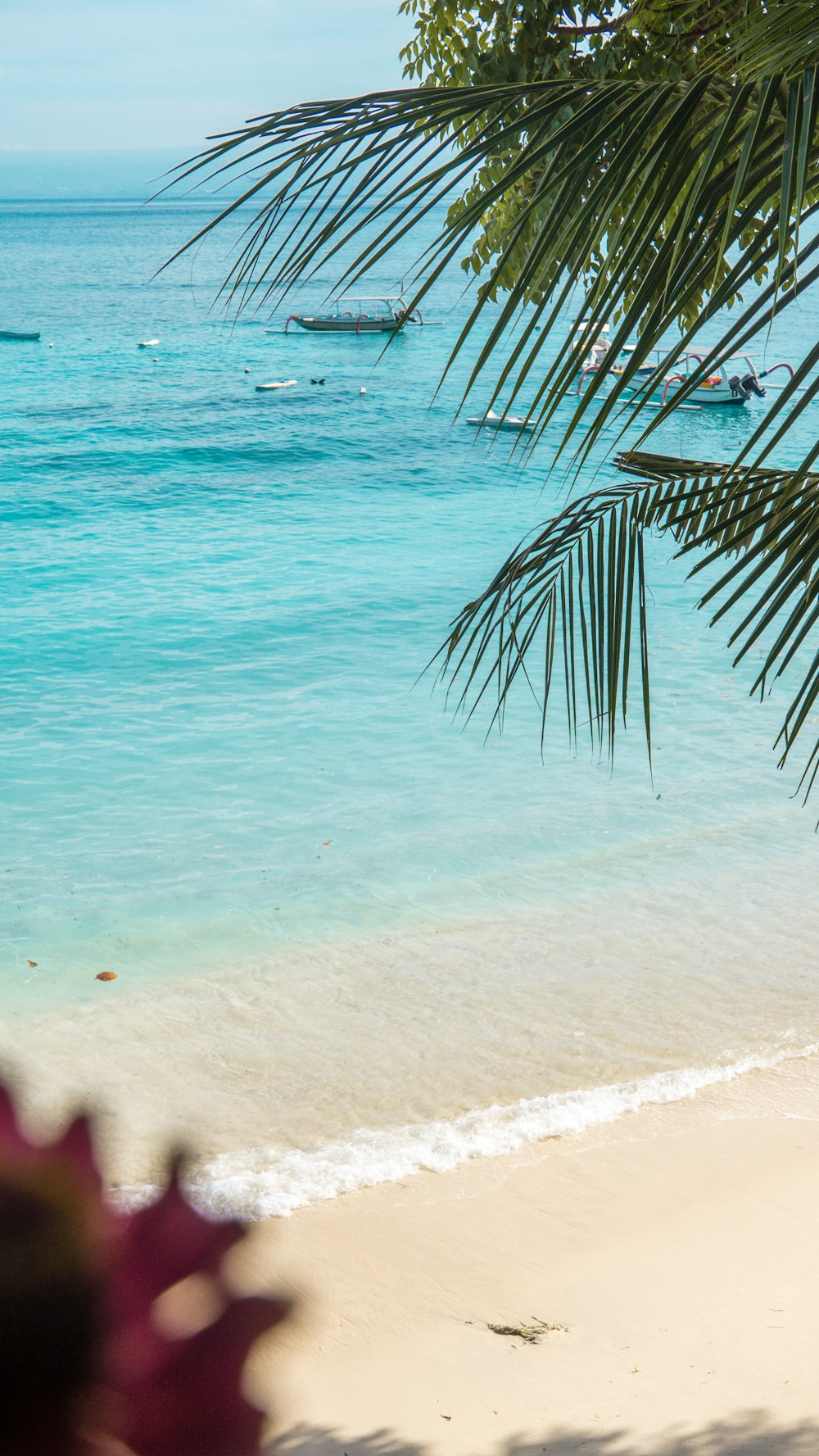 a beach with palm trees