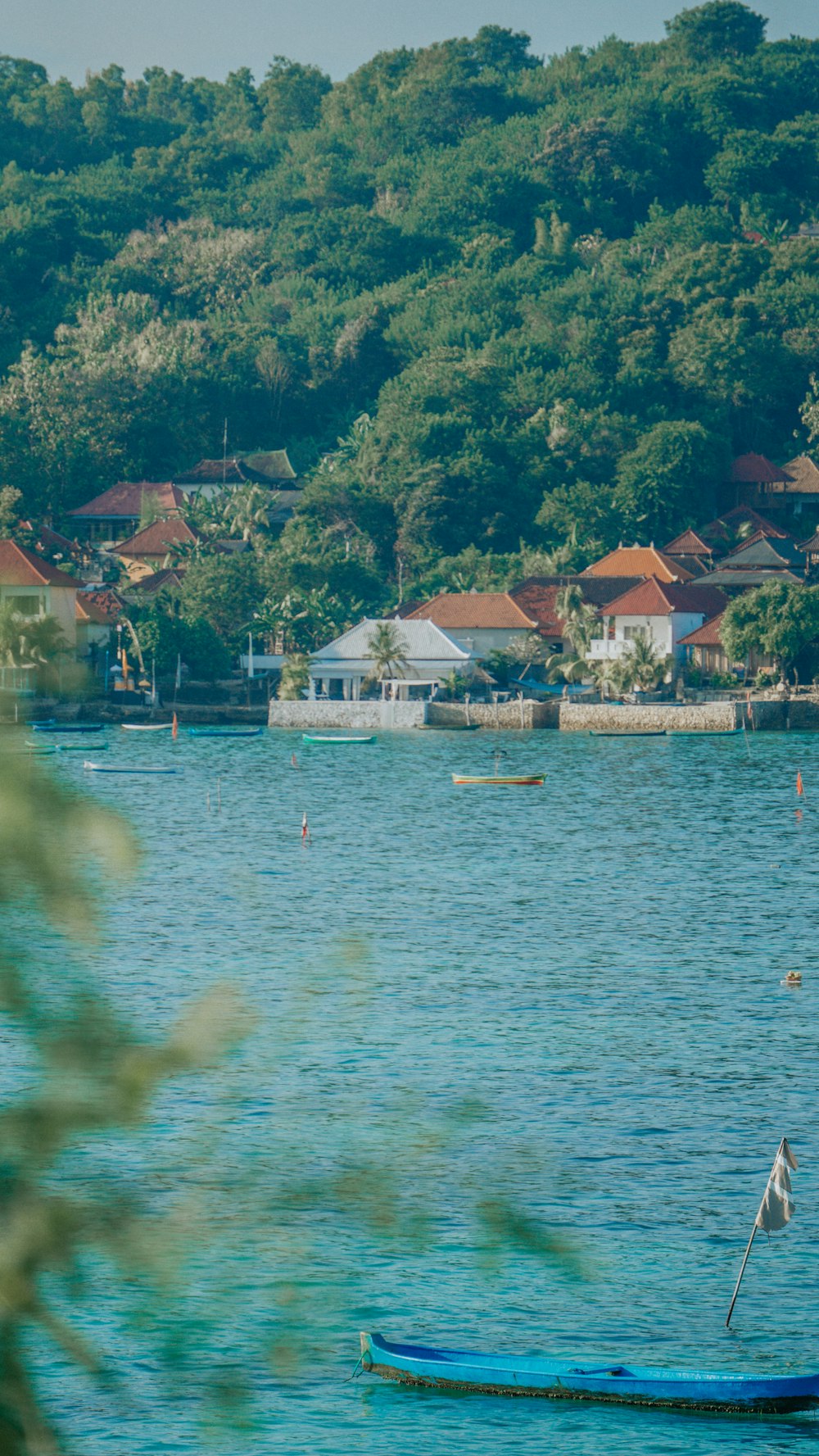 a body of water with houses and trees around it