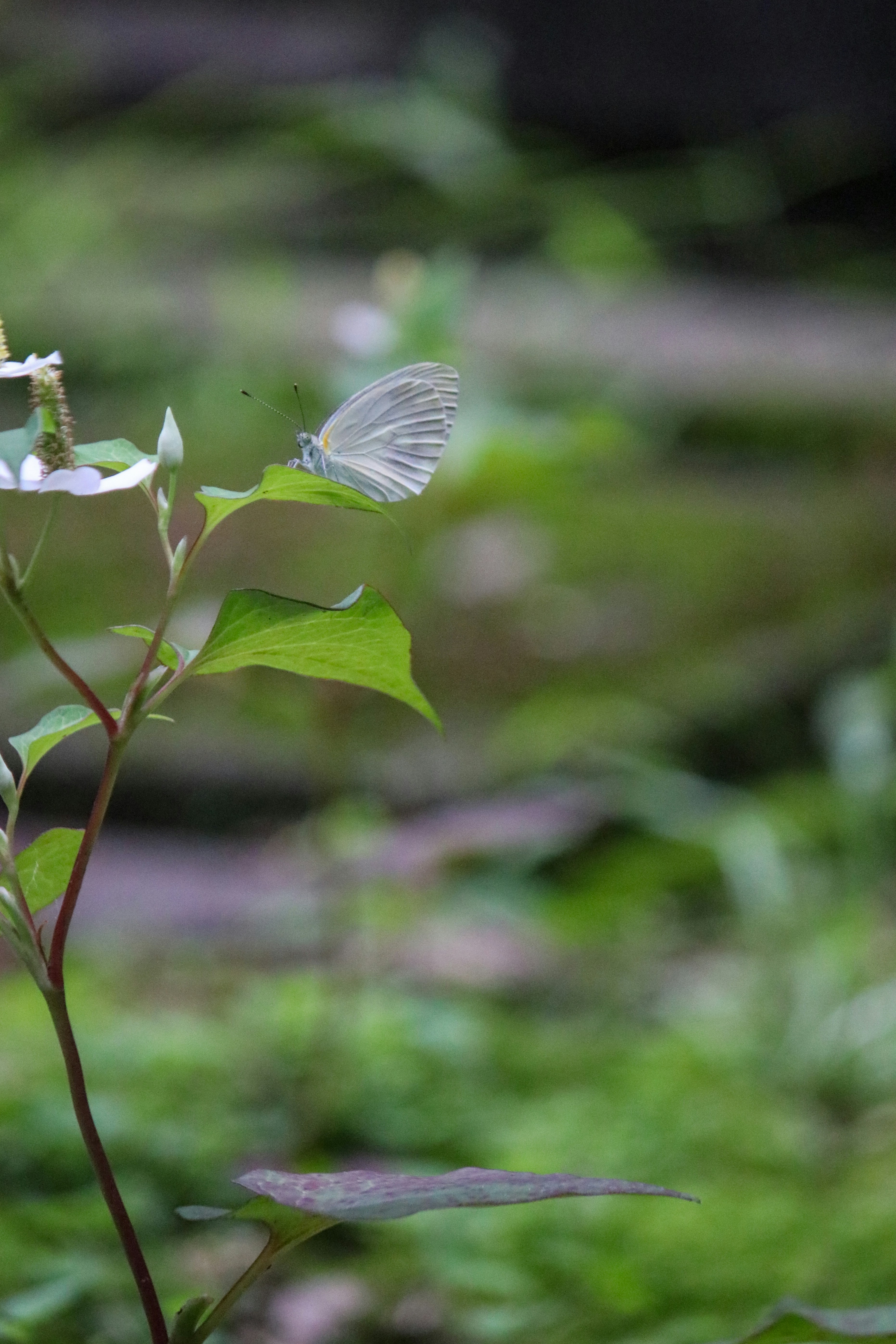 Photo by hiroyukisenn