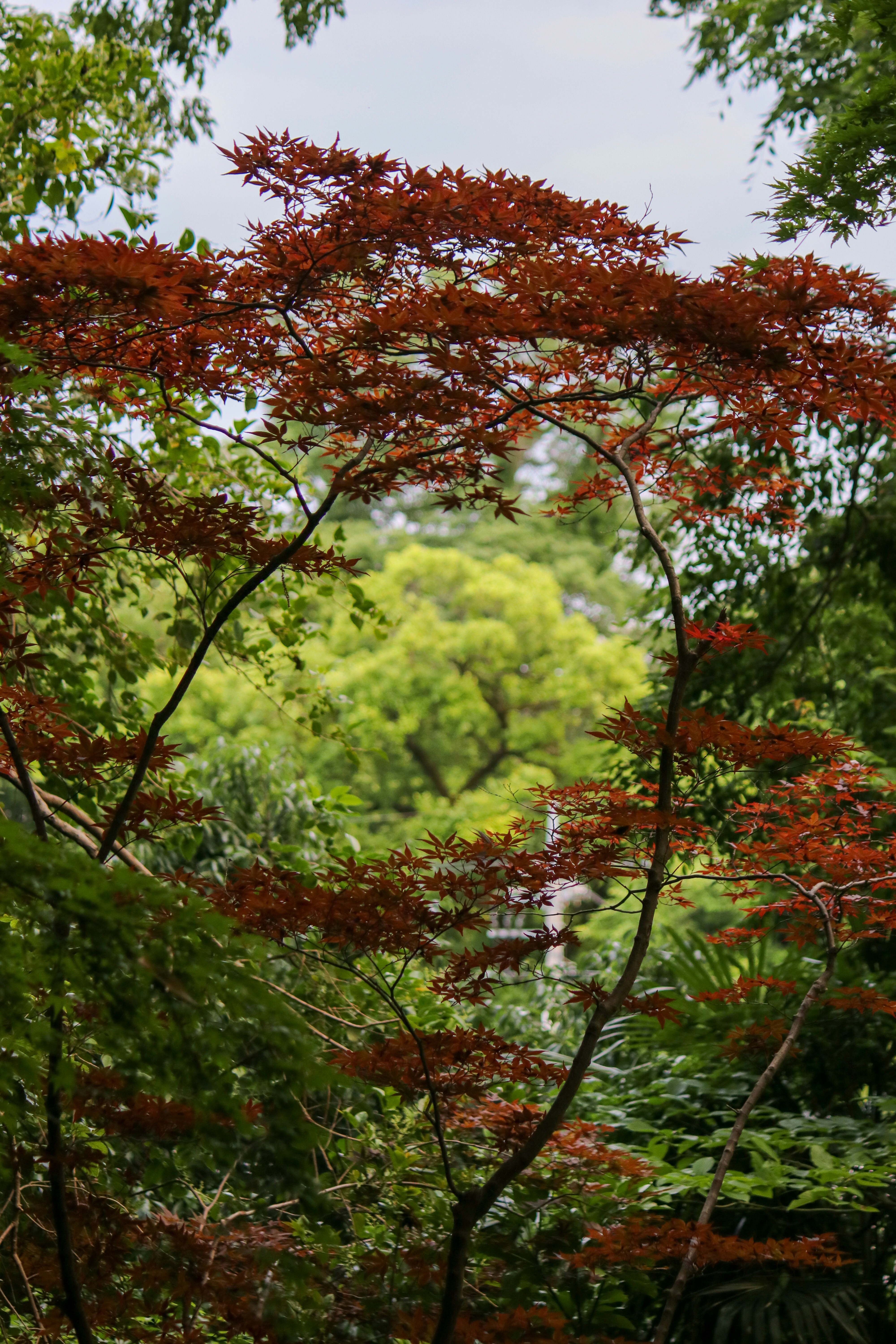 Photo by hiroyukisenn