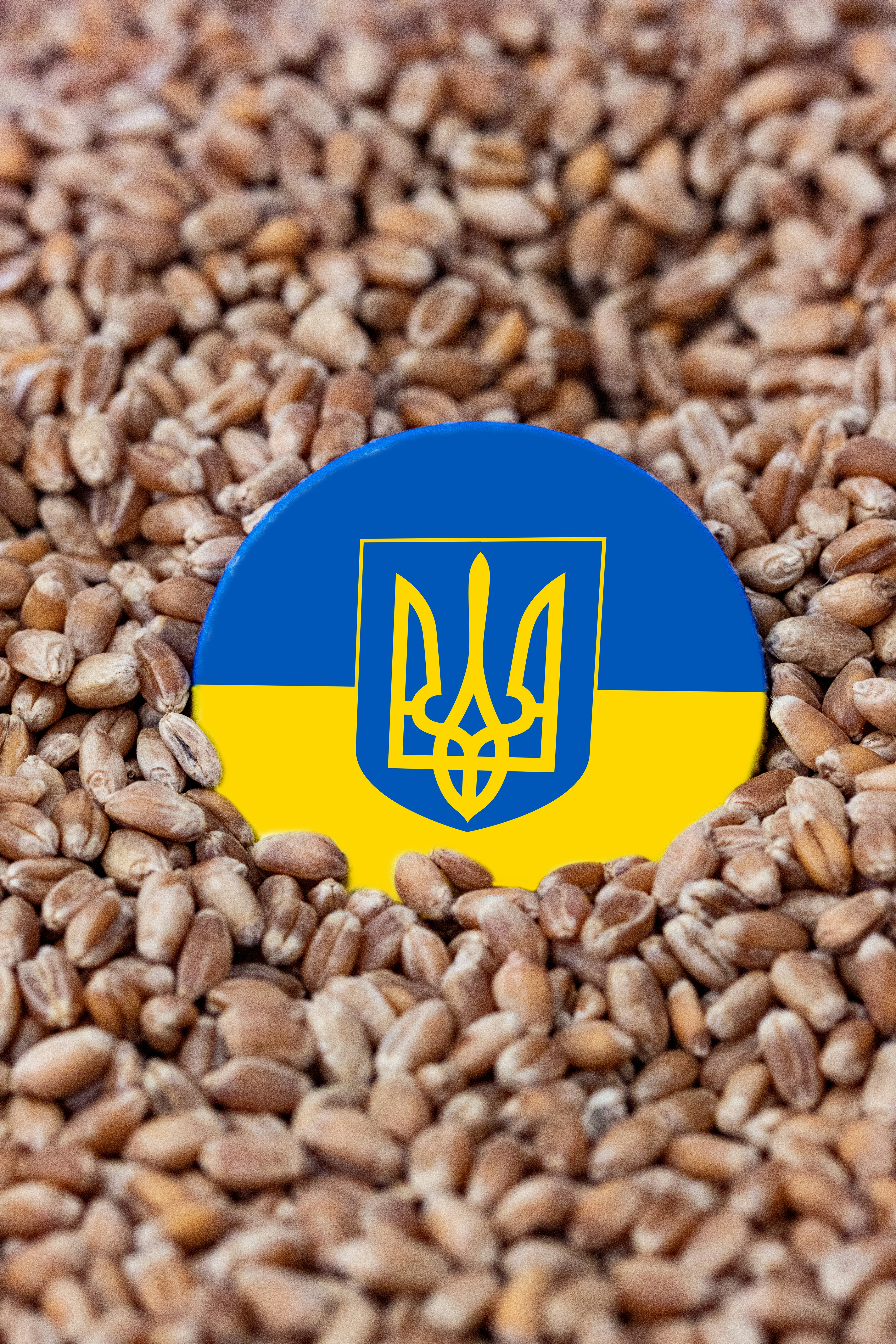 a container of coffee beans