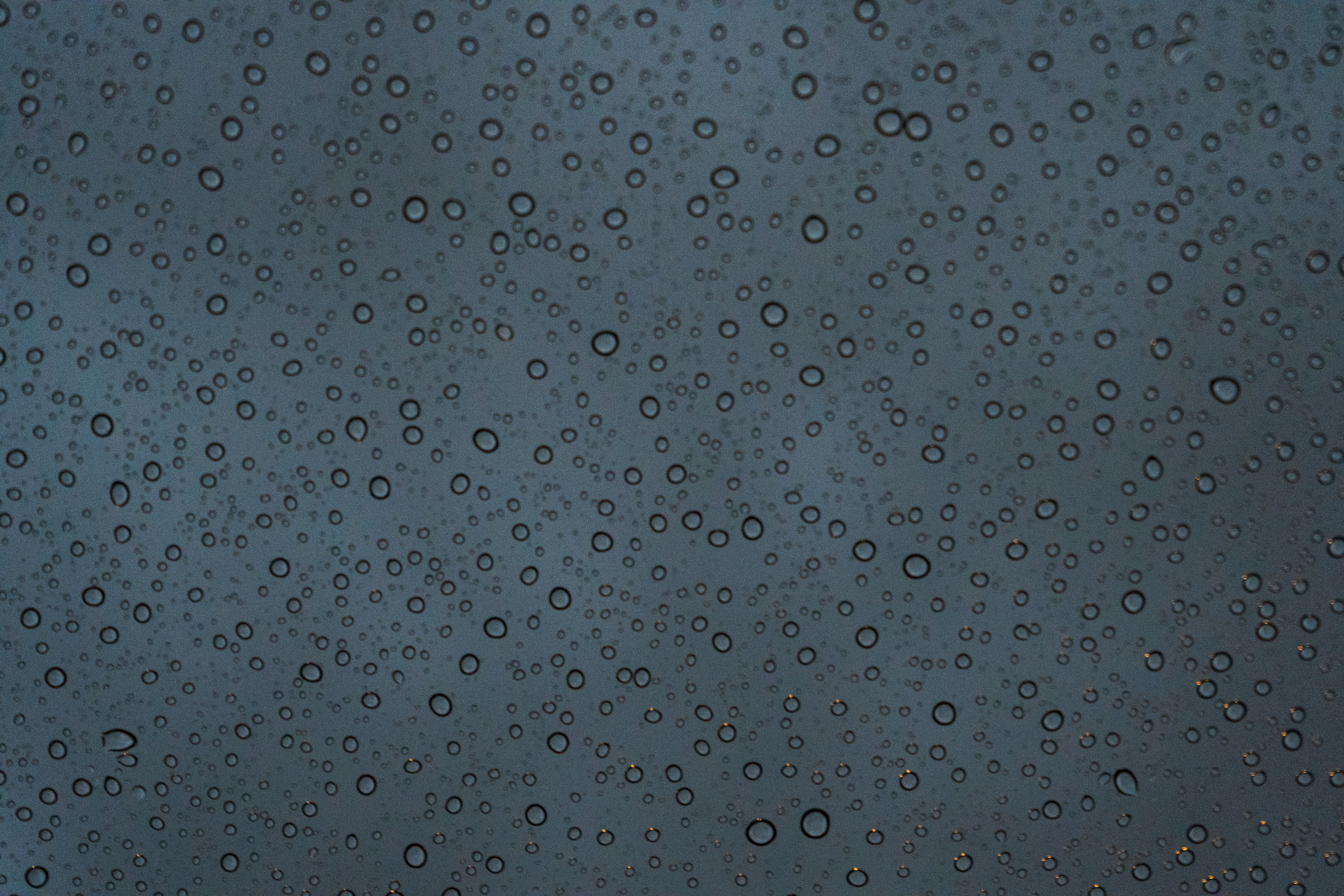 Photo by harrisonchang