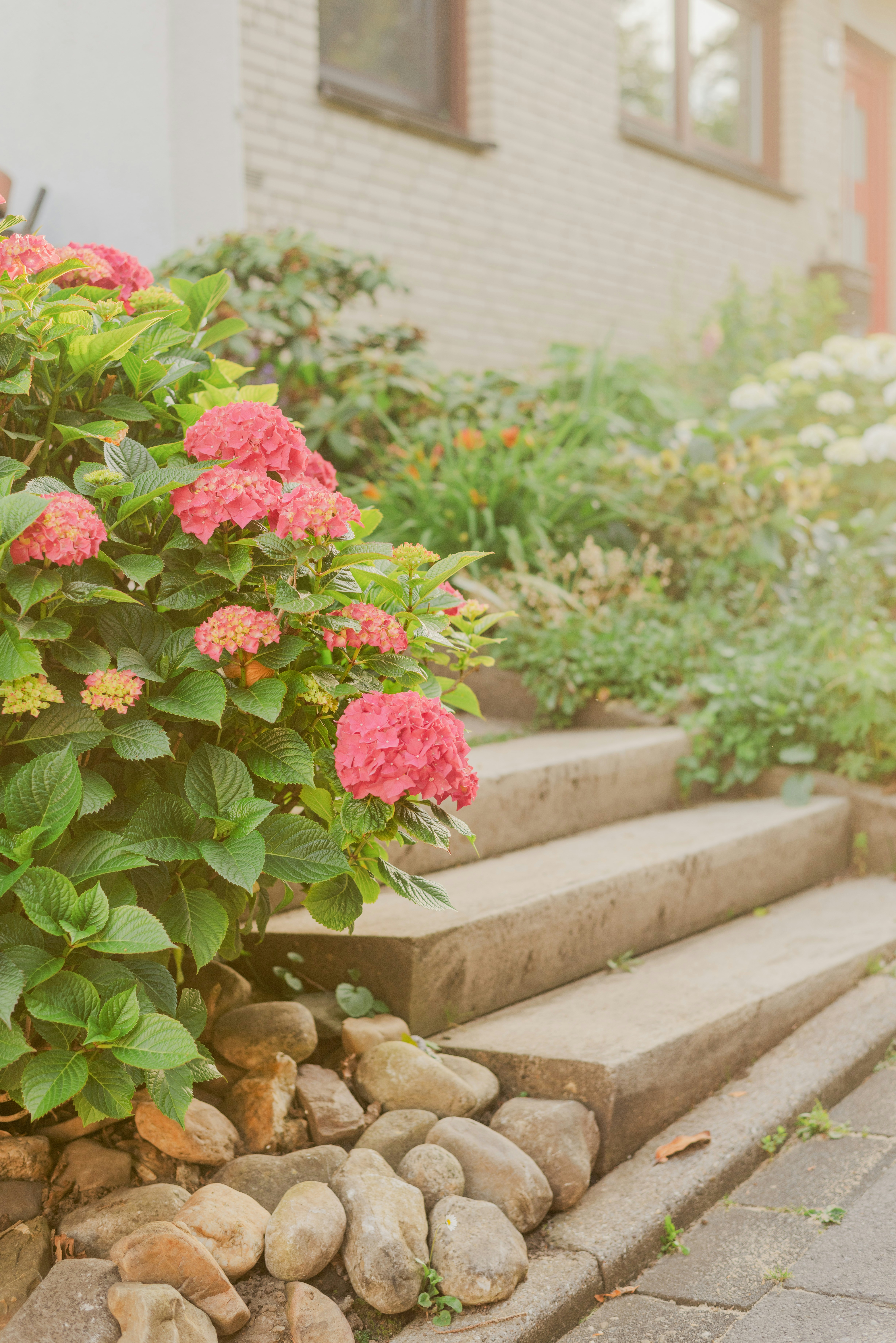 Protecting Plants from Early Frost