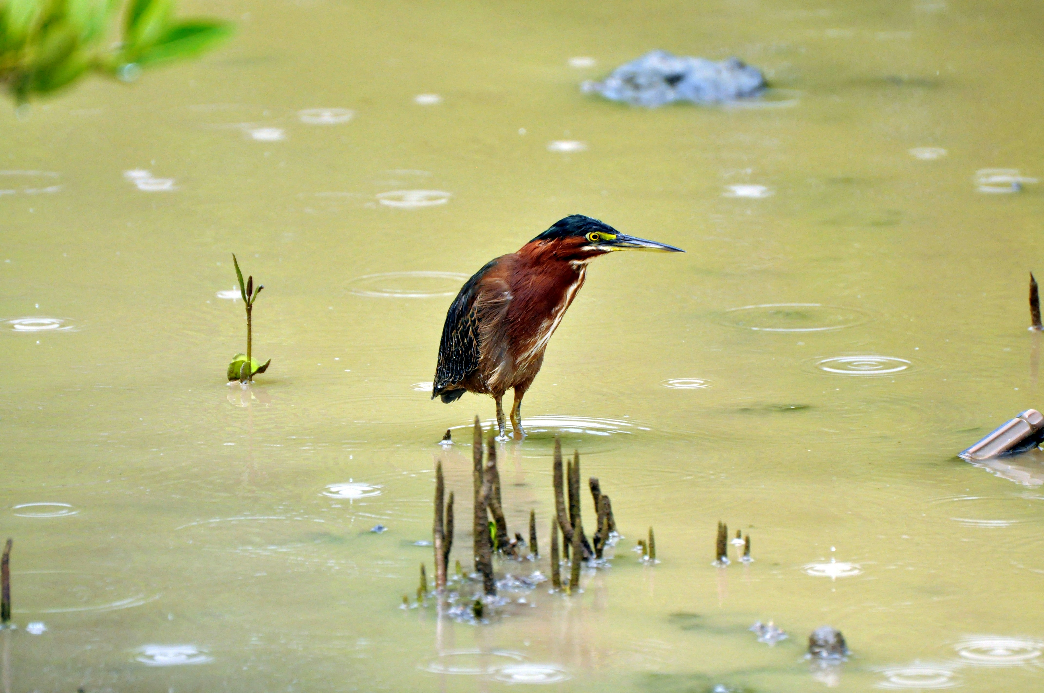 Photo by climatechangevi