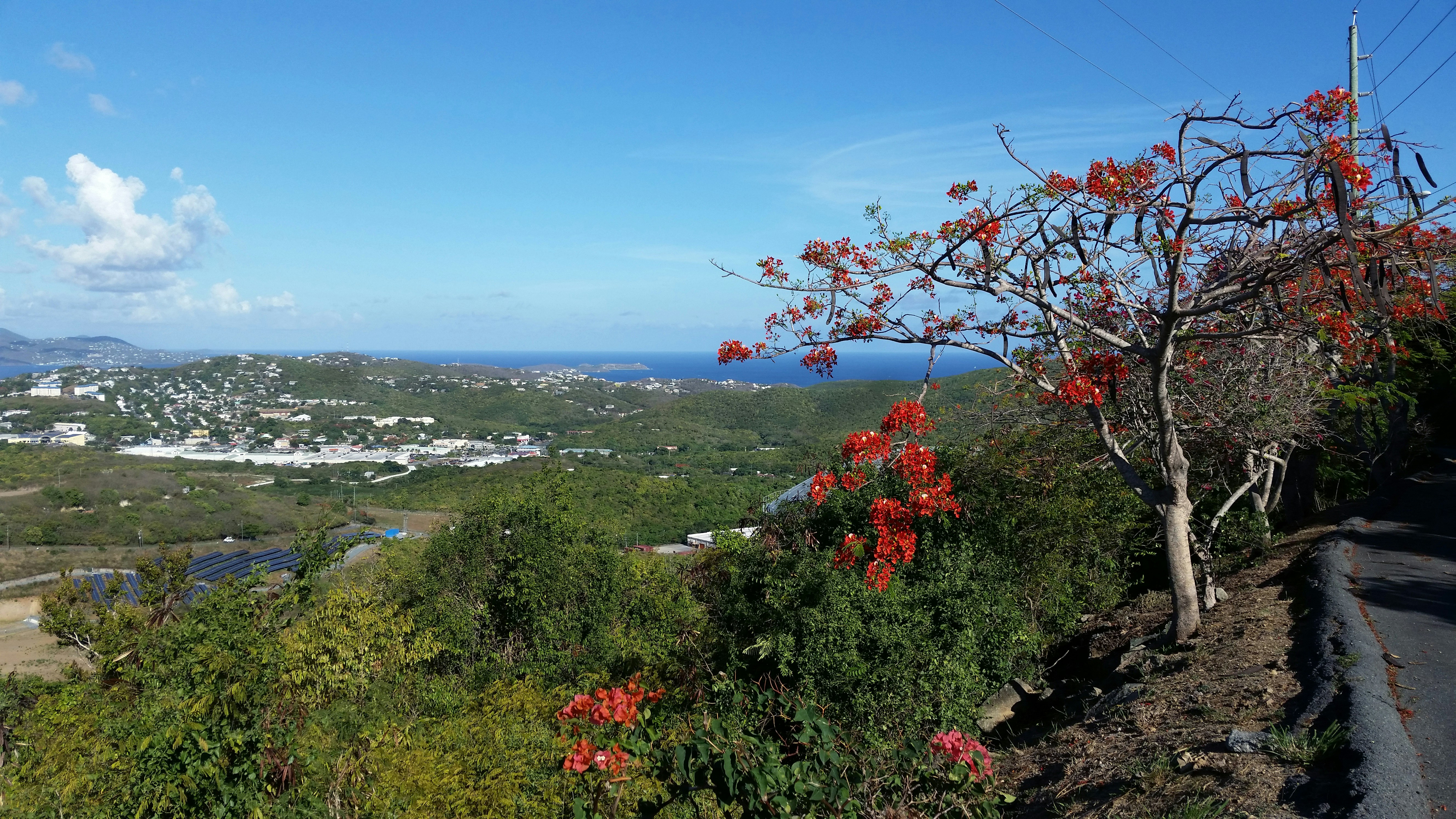 Photo by climatechangevi