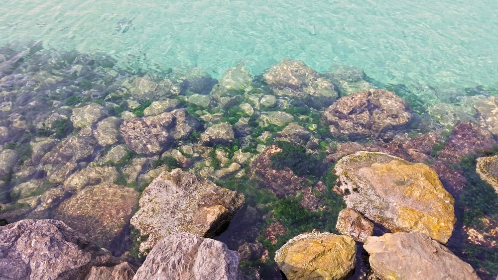 a rocky underwater area