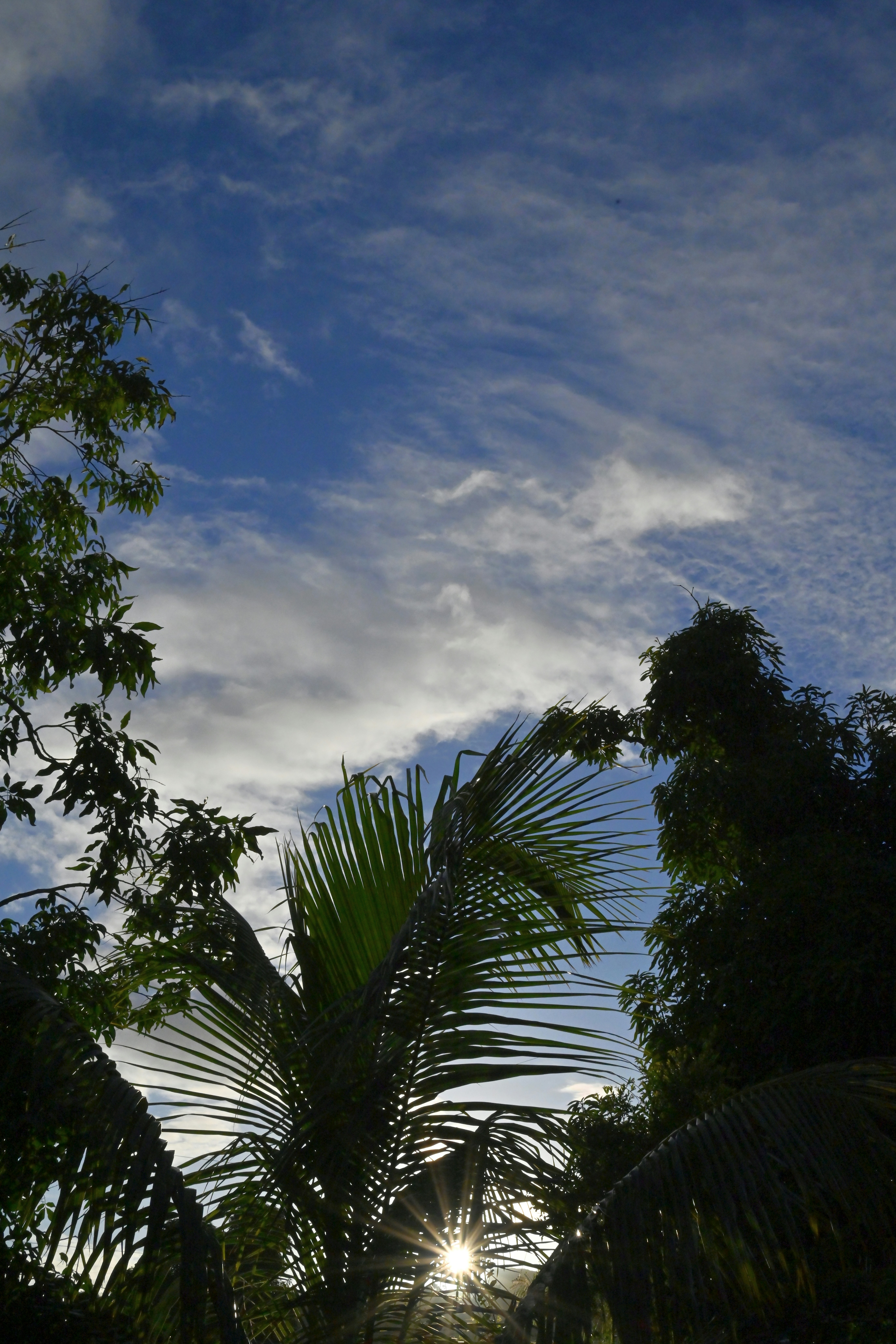 Photo by climatechangevi