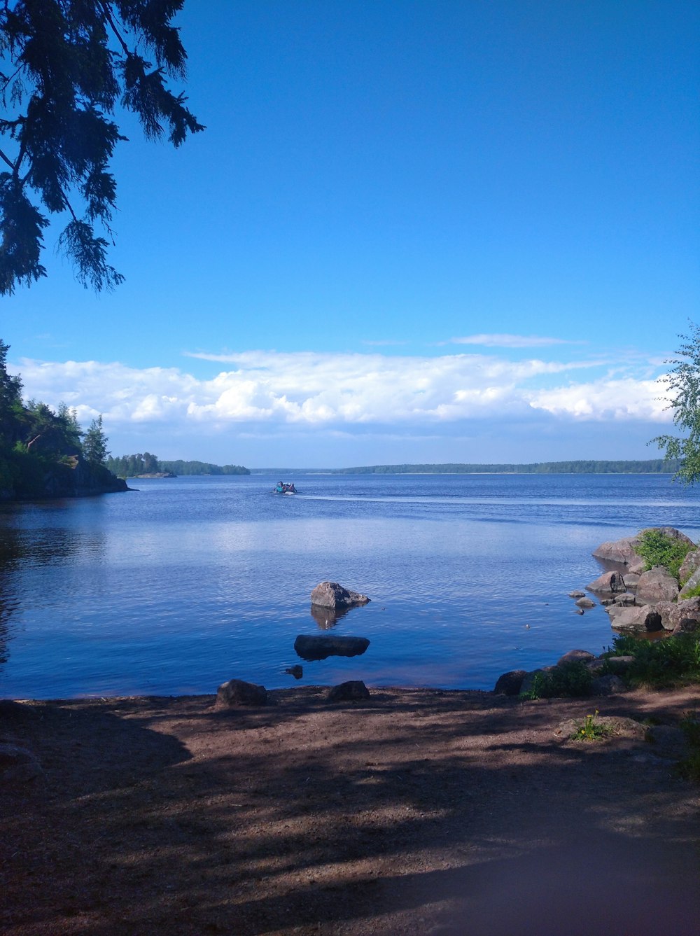 a body of water with rocks and trees around it