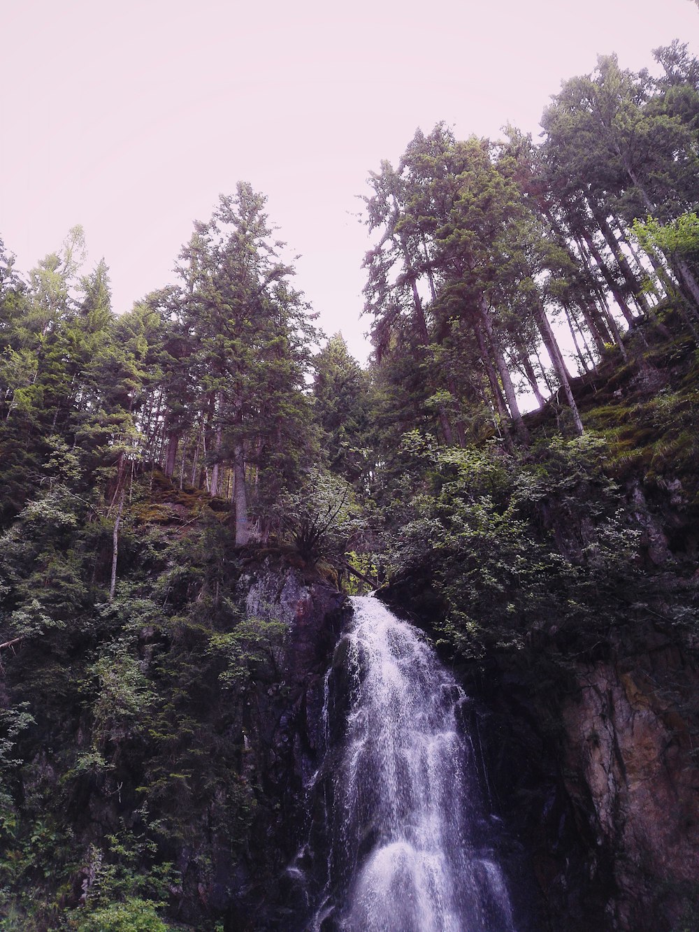 a waterfall surrounded by trees