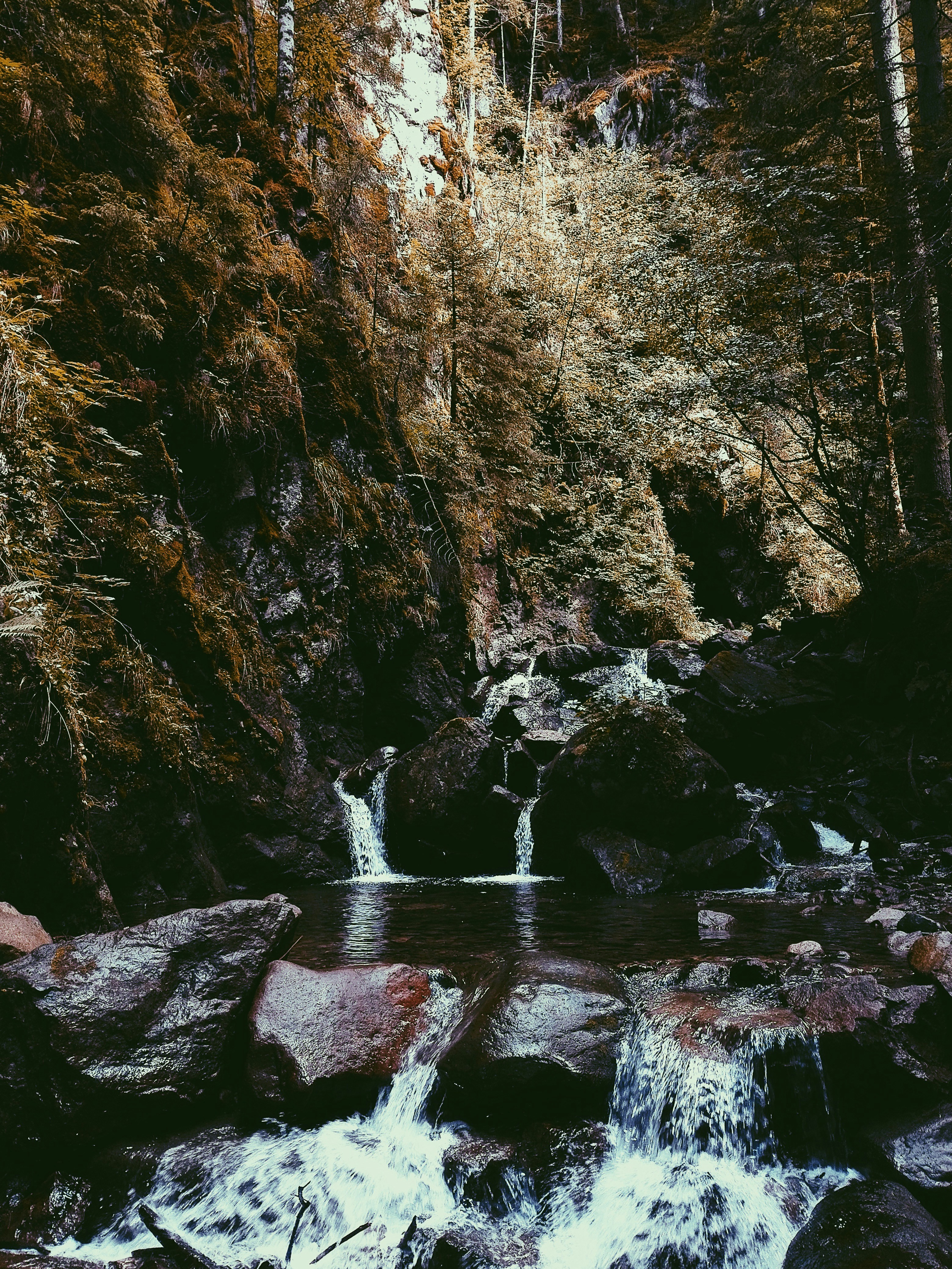 Photo by enricofumagalli