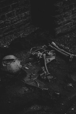 A dark and moody scene showing human skeletal remains on the ground against a brick wall. The bones appear scattered and partially buried in dirt, conveying an eerie and abandoned atmosphere.