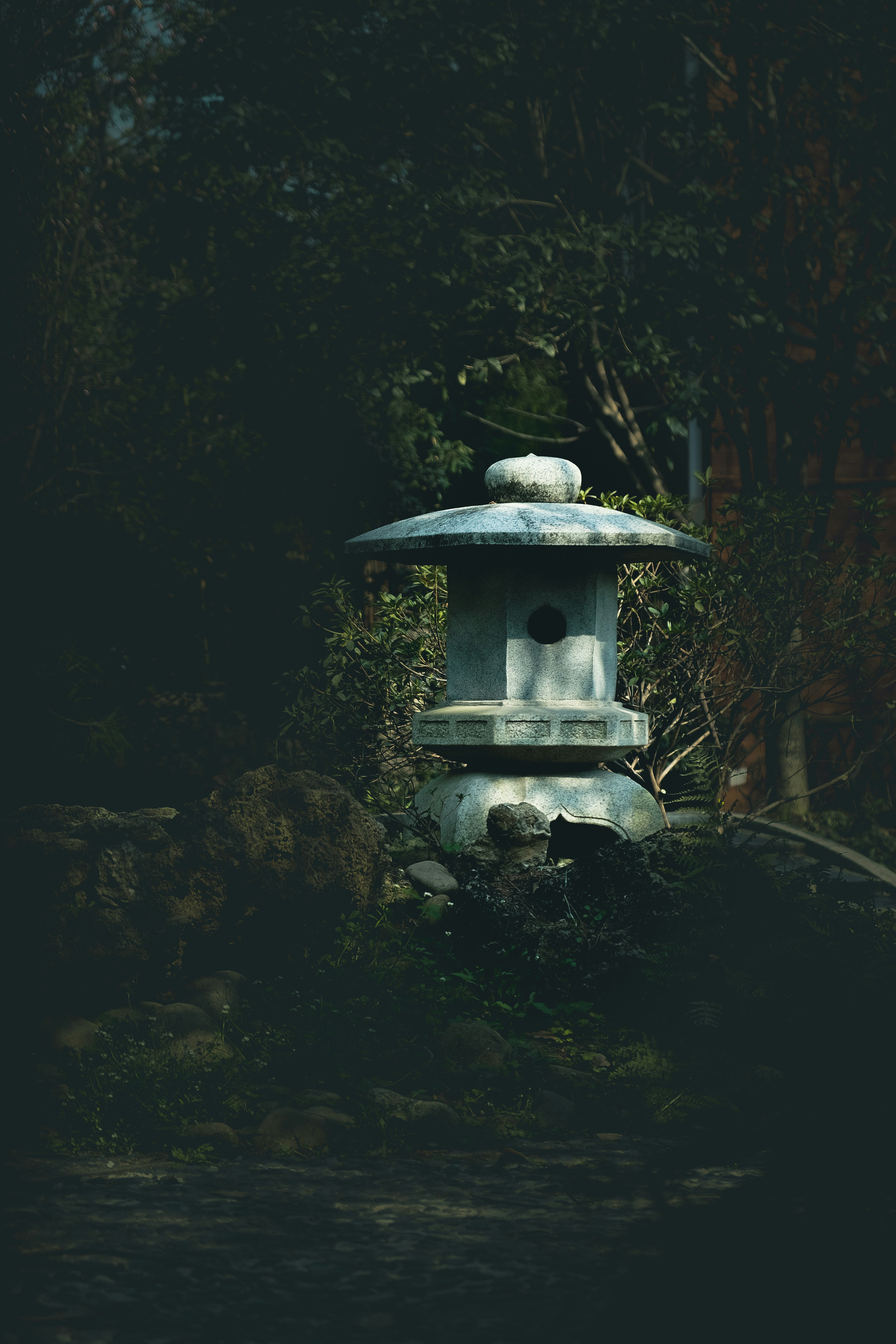 Photo by leonhu123