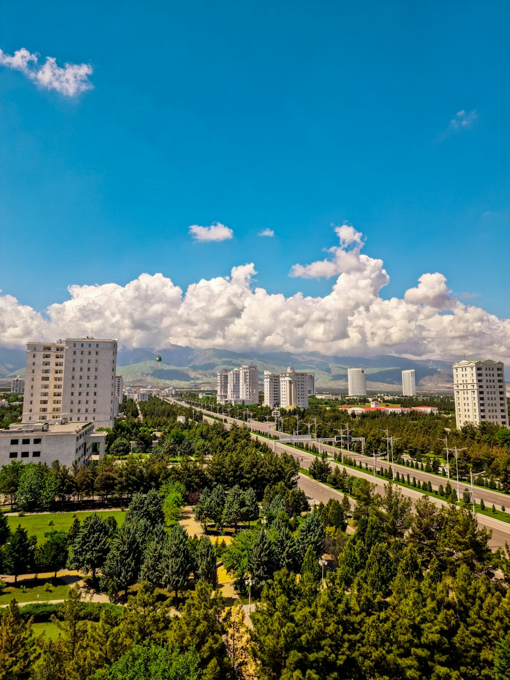 a city landscape with trees and buildings