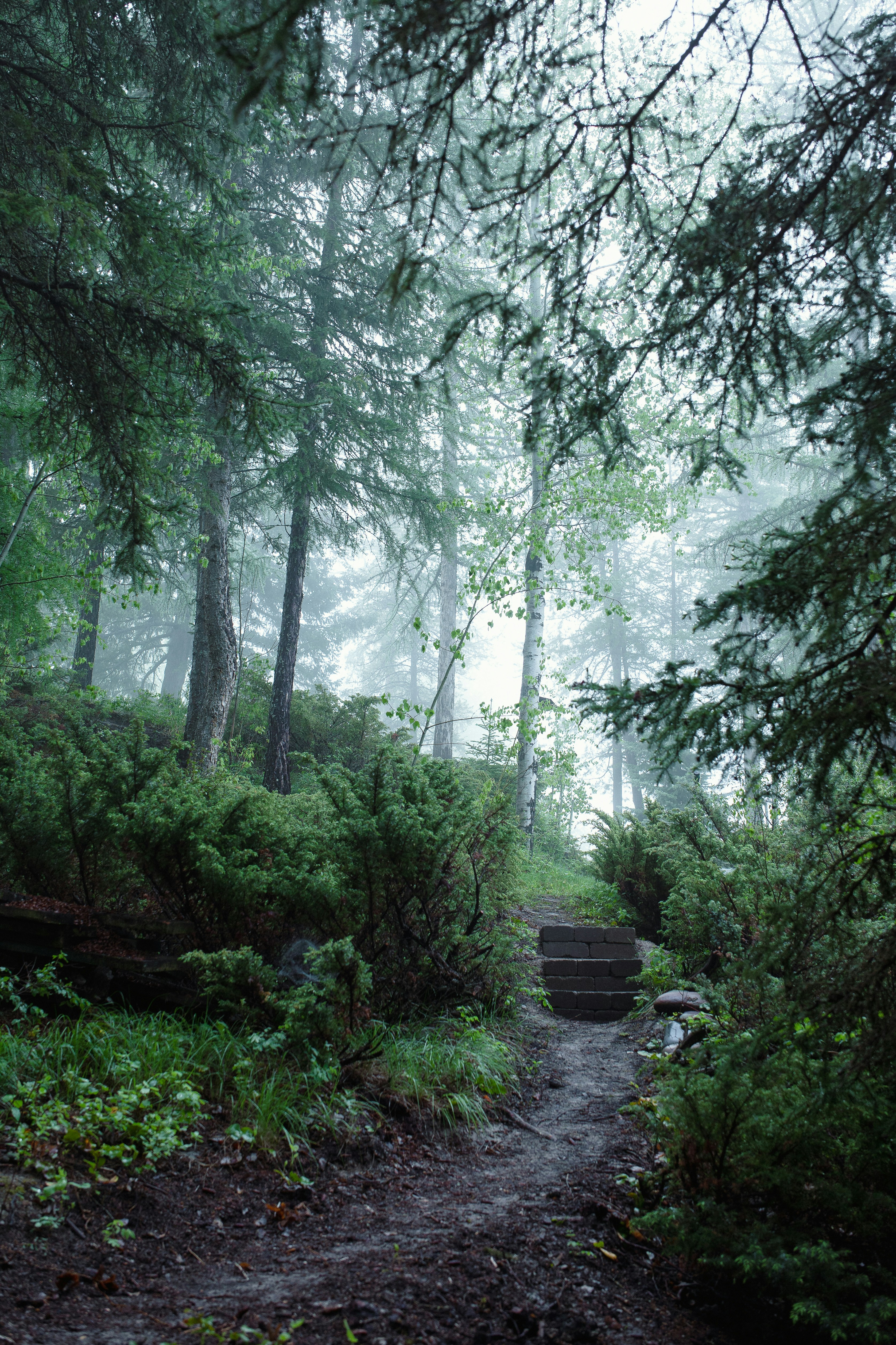 Photo by capturedbyjavi