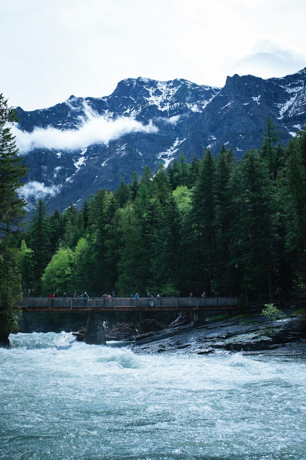 a bridge over a river with trees and mountains in the background