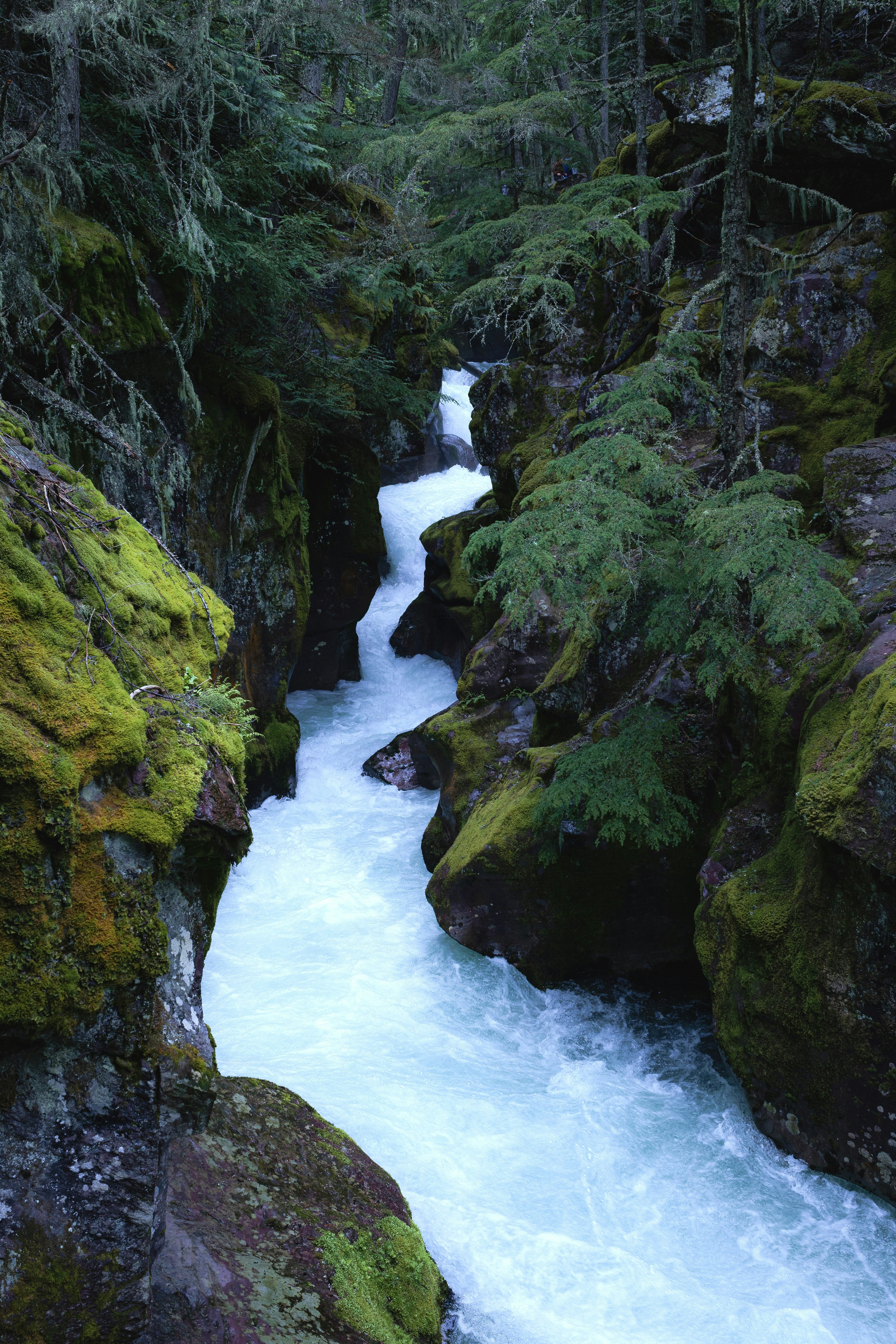 Photo by capturedbyjavi