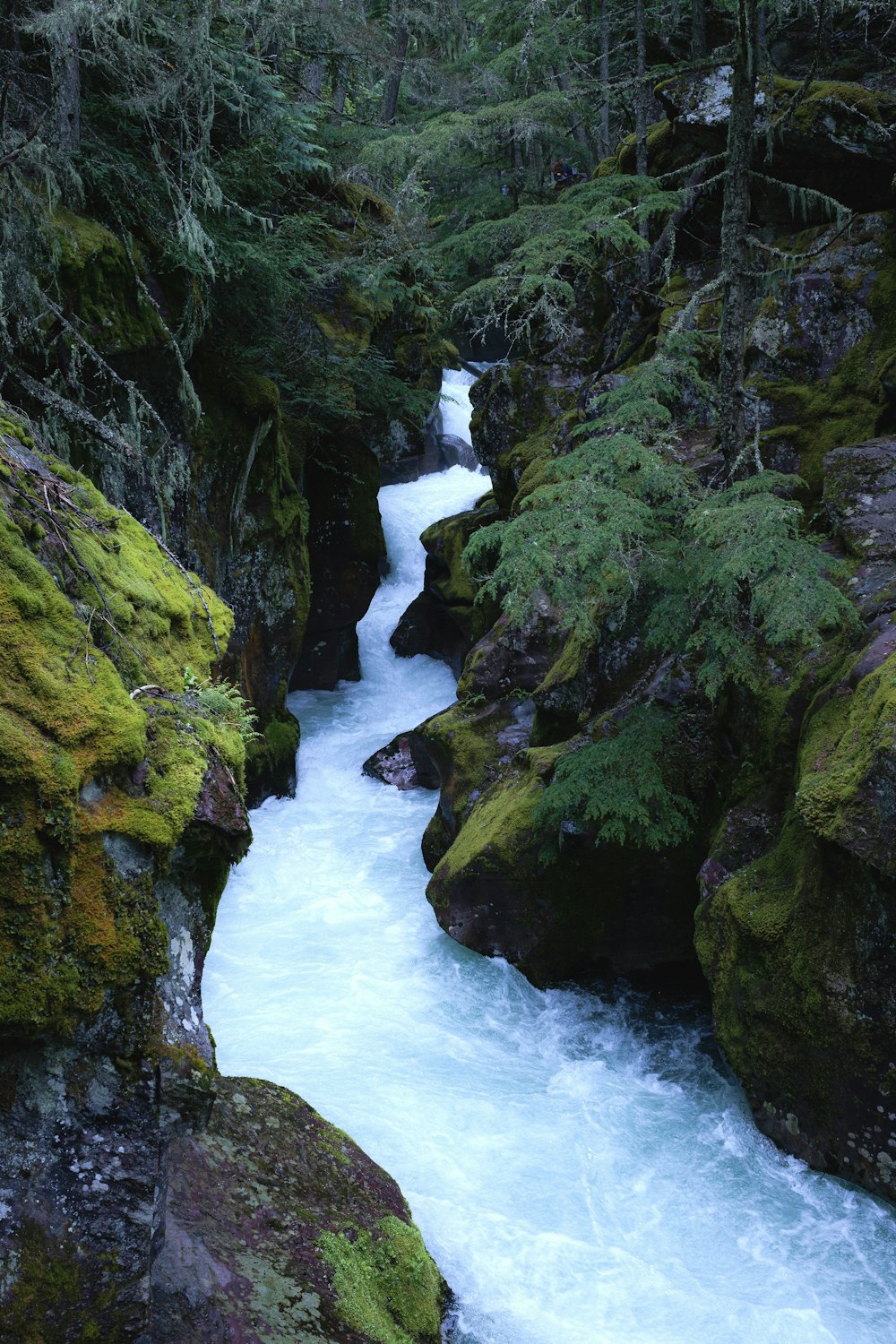 a waterfall in a forest