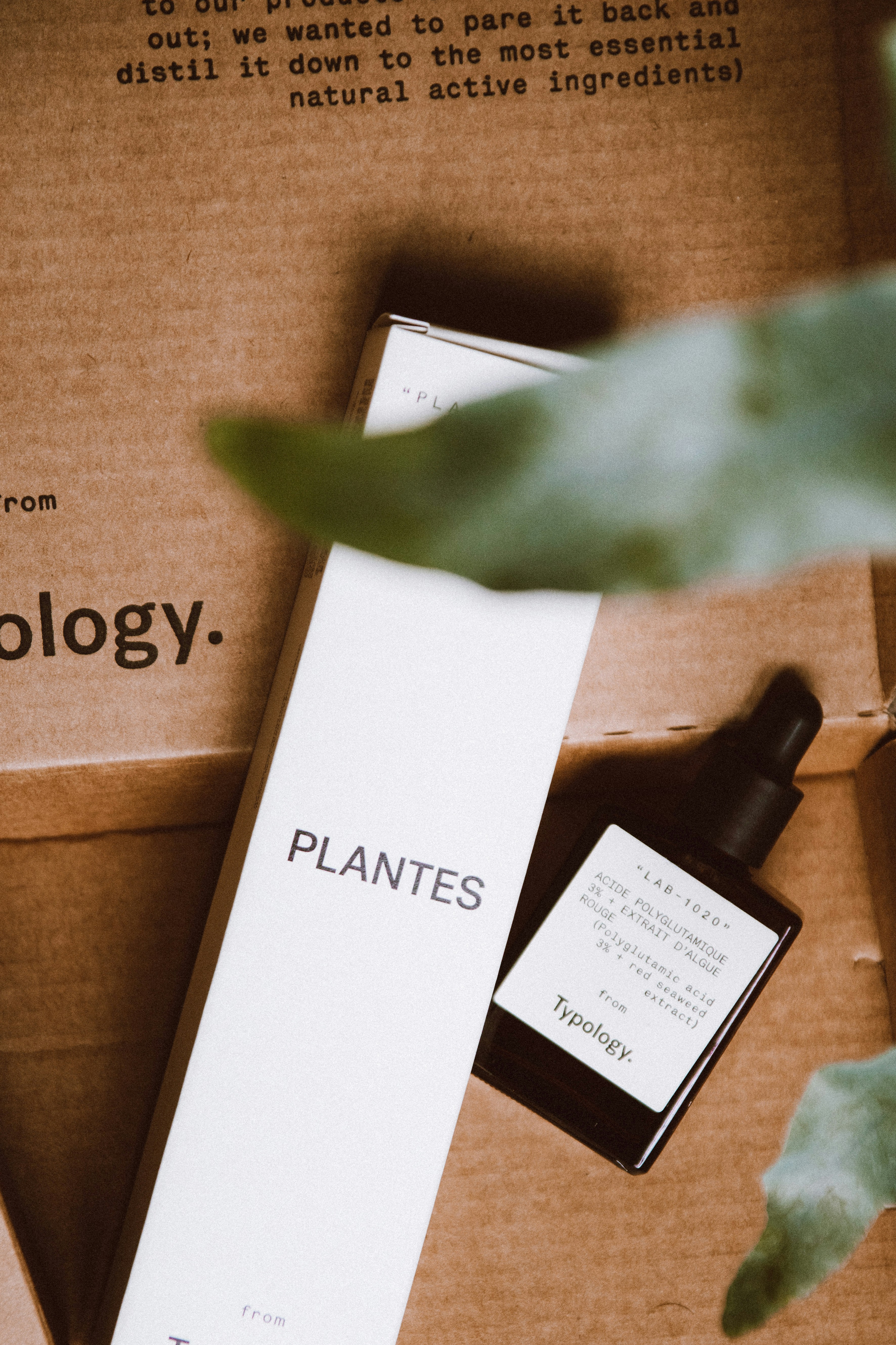 Paket produk kesehatan keluarga lengkap tersusun rapi dalam kotak hadiah warna coklat hangat