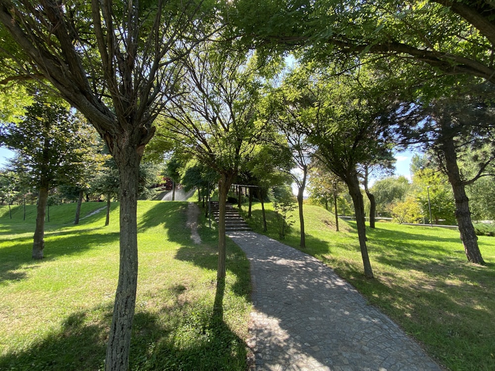 a path through a park