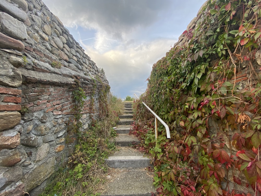 a stone path between stone walls