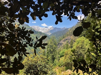 A scenic mountain landscape shot enhanced by Framemaster AI’s weather-based photography insights.