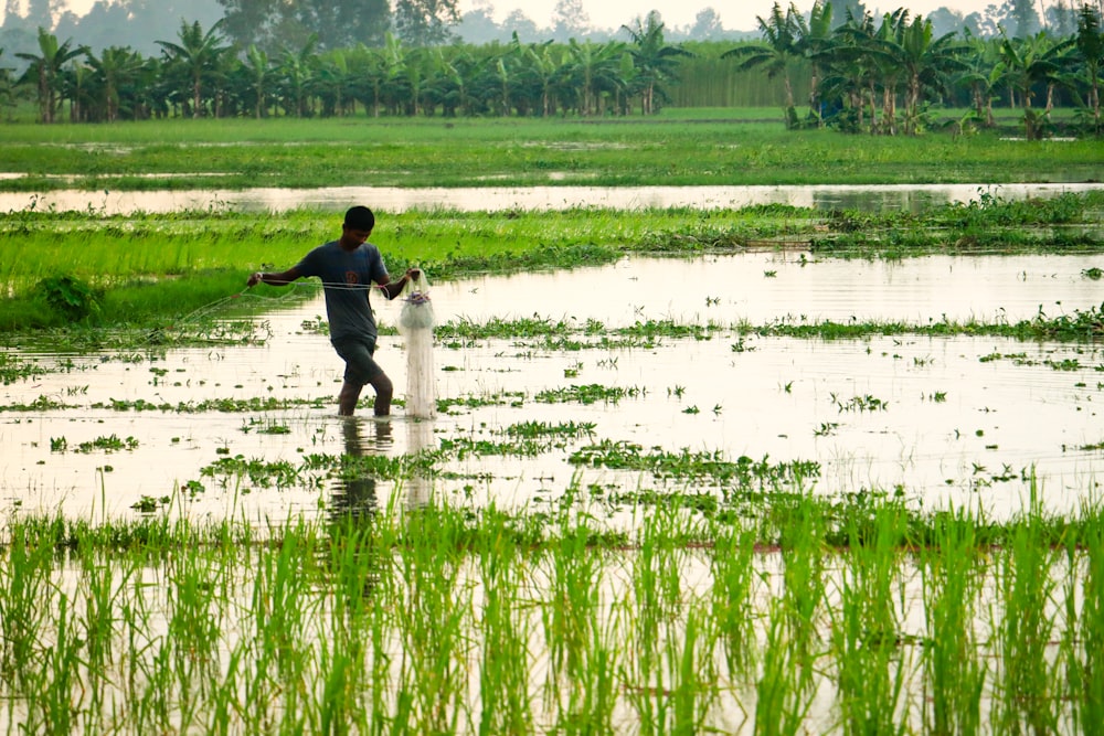 a person standing in a swamp