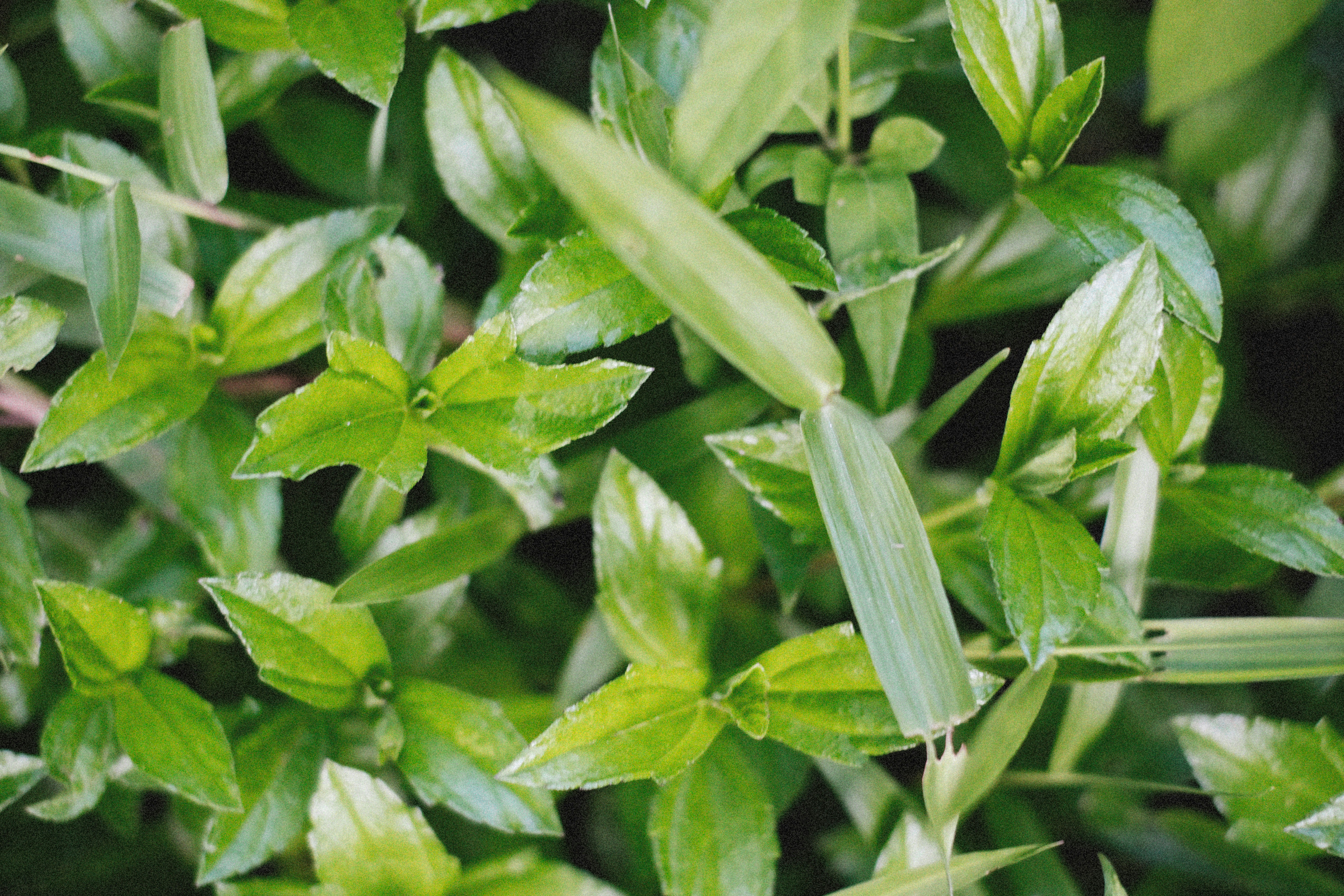 Photo by alexeydemidov