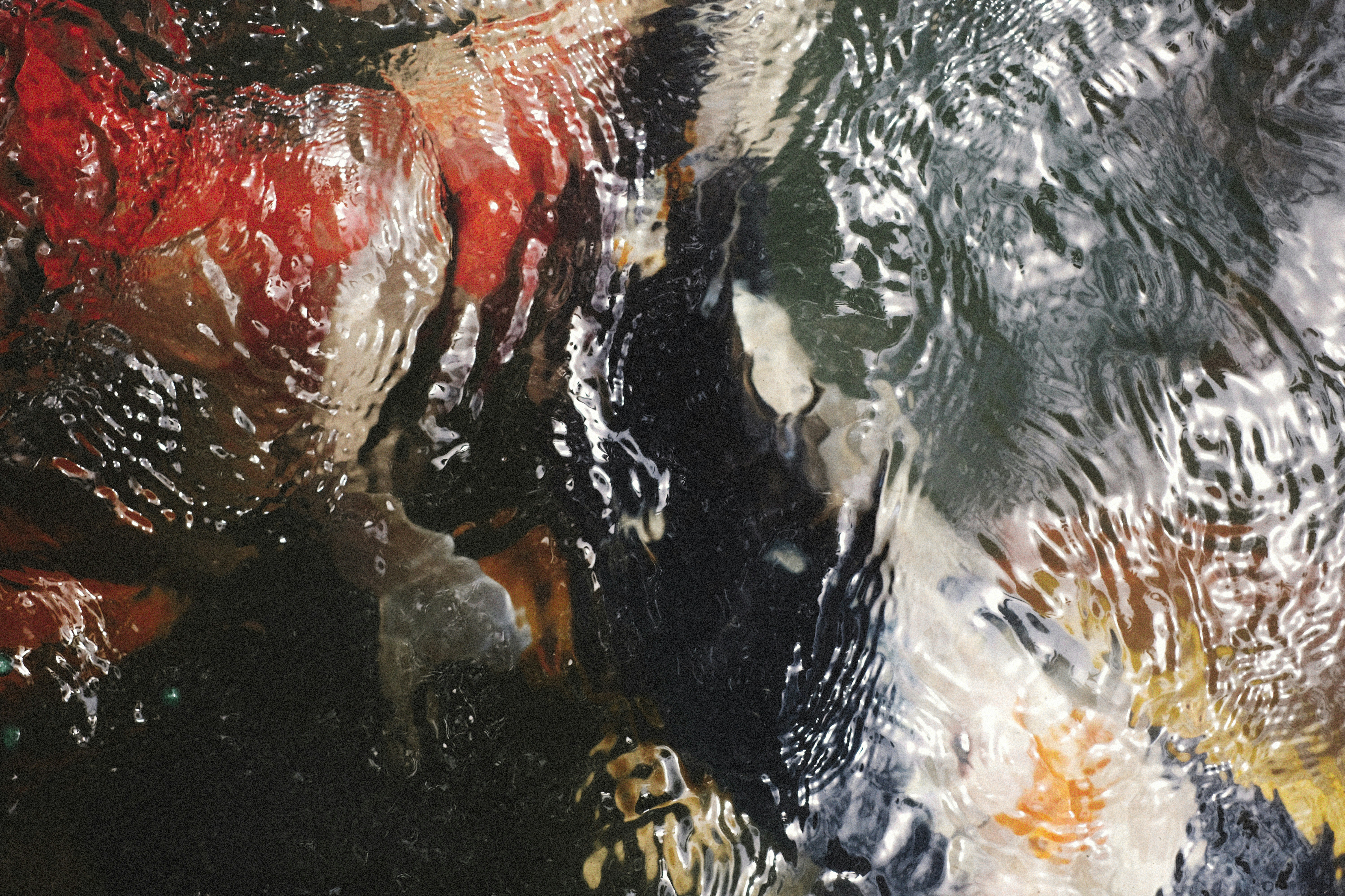 Photo by alexeydemidov