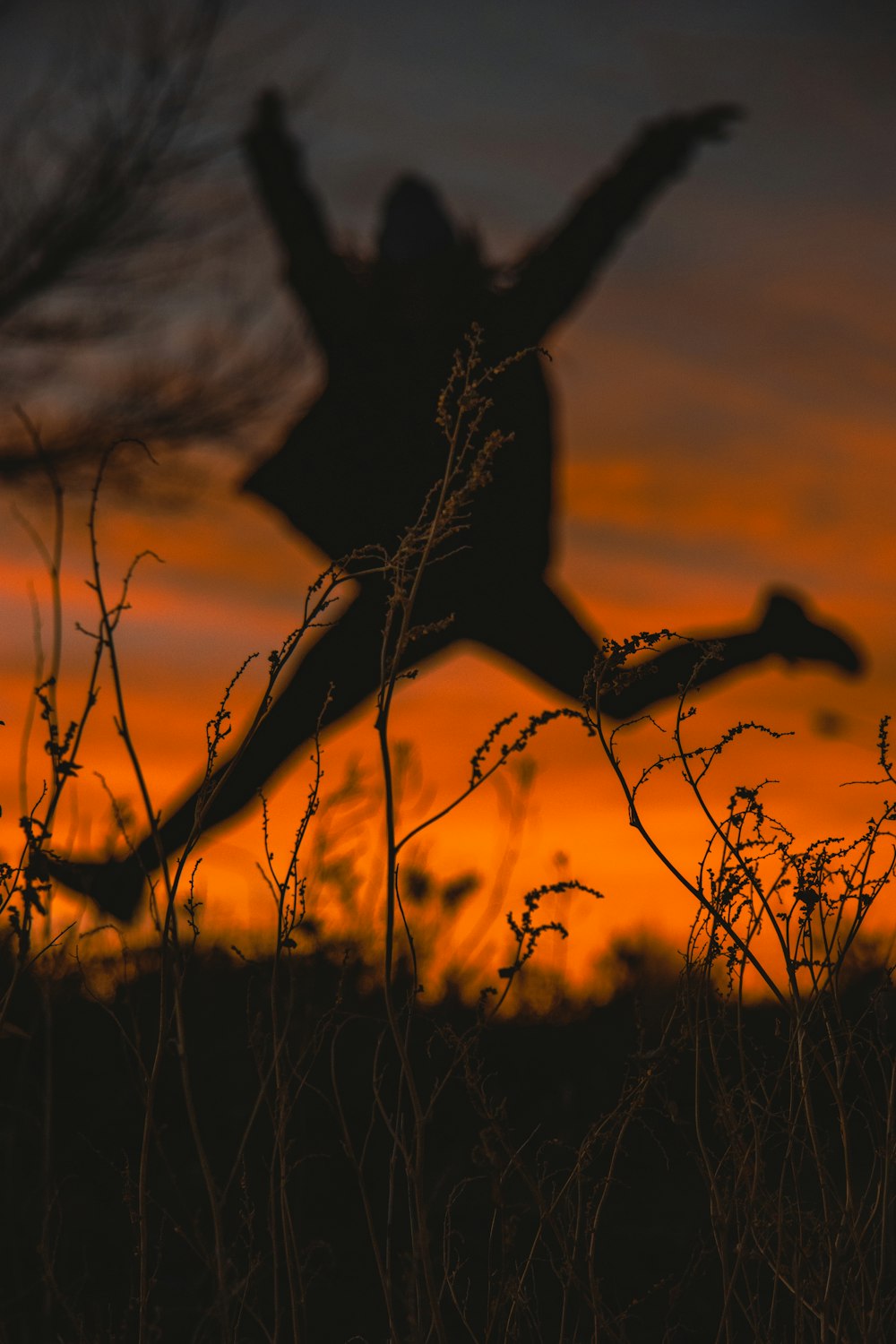 a silhouette of a person riding a horse