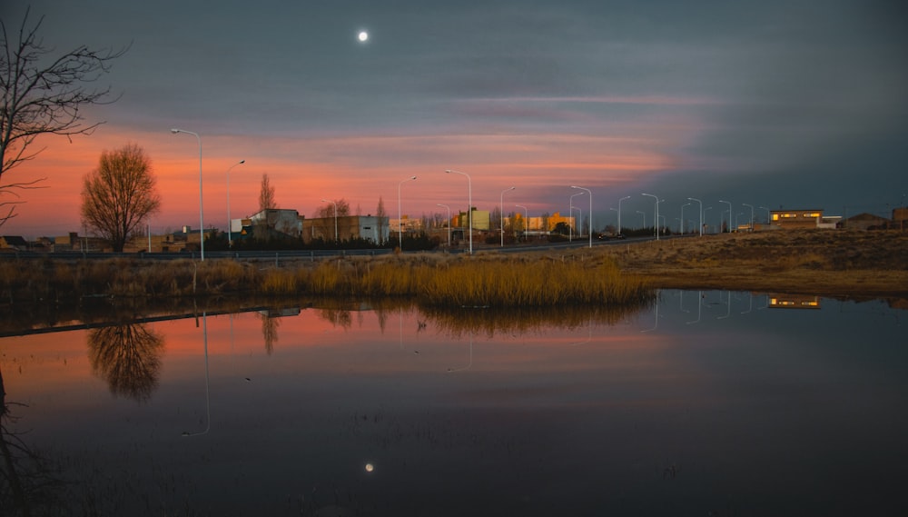 a body of water with buildings and trees around it