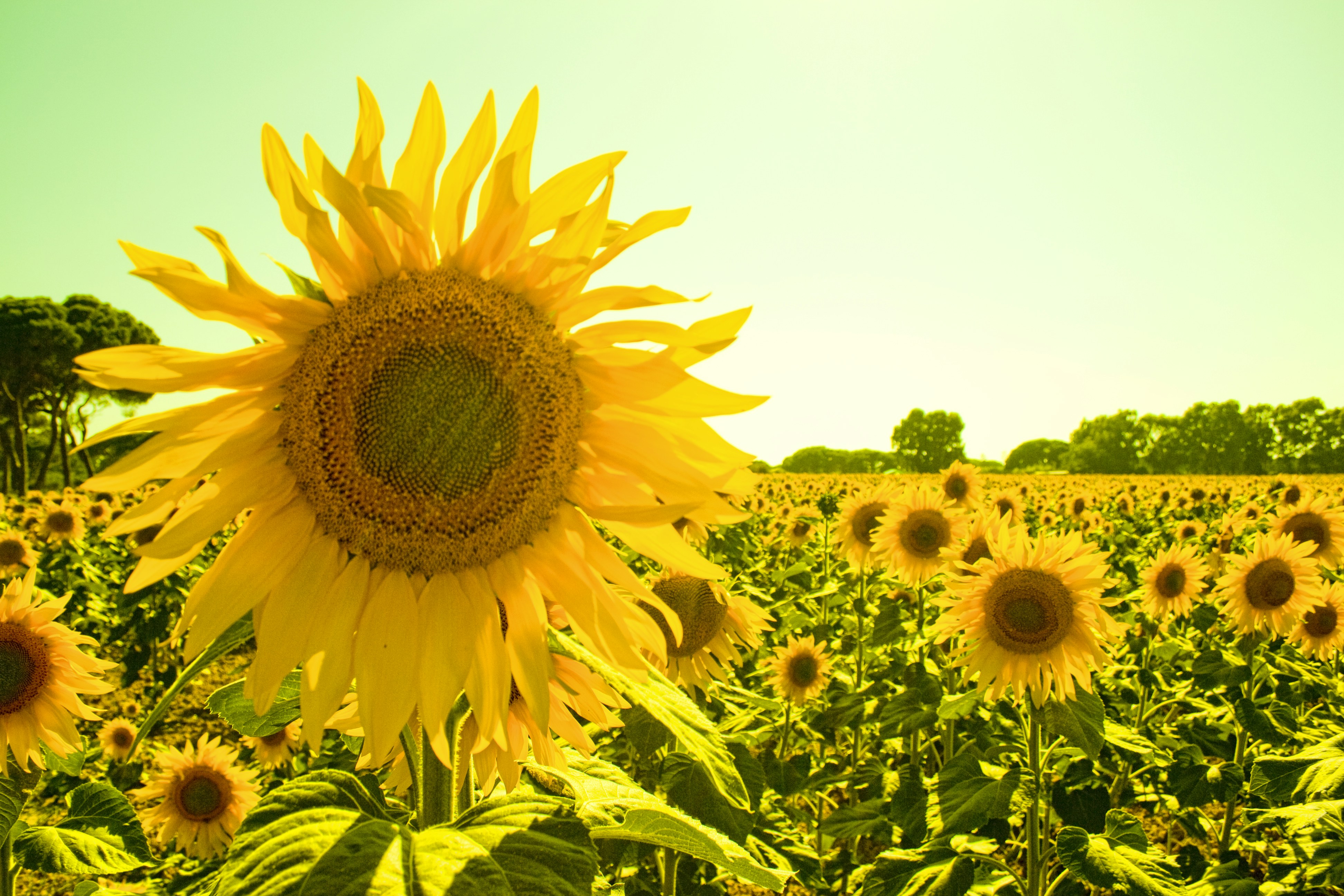 Photo by jjmontalban